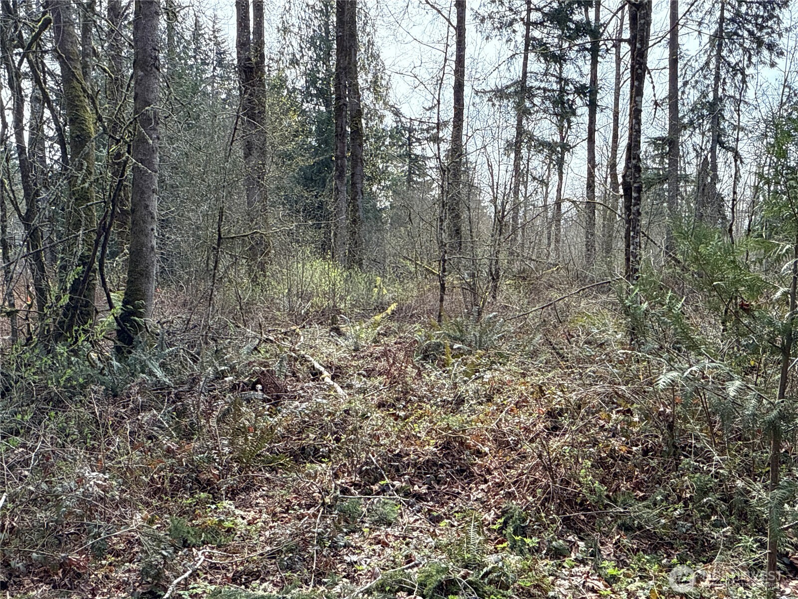 22 Xxx 212th Avenue Property Photo 15