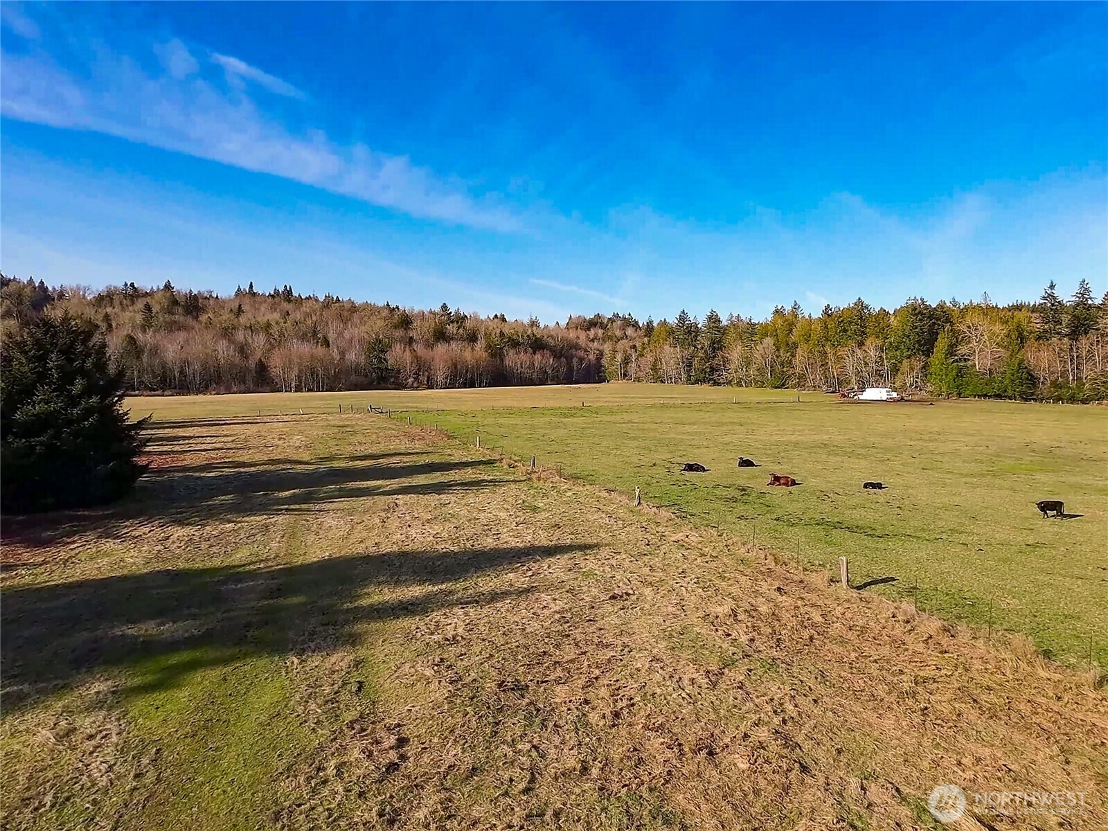 5662 Center Road Property Photo 2