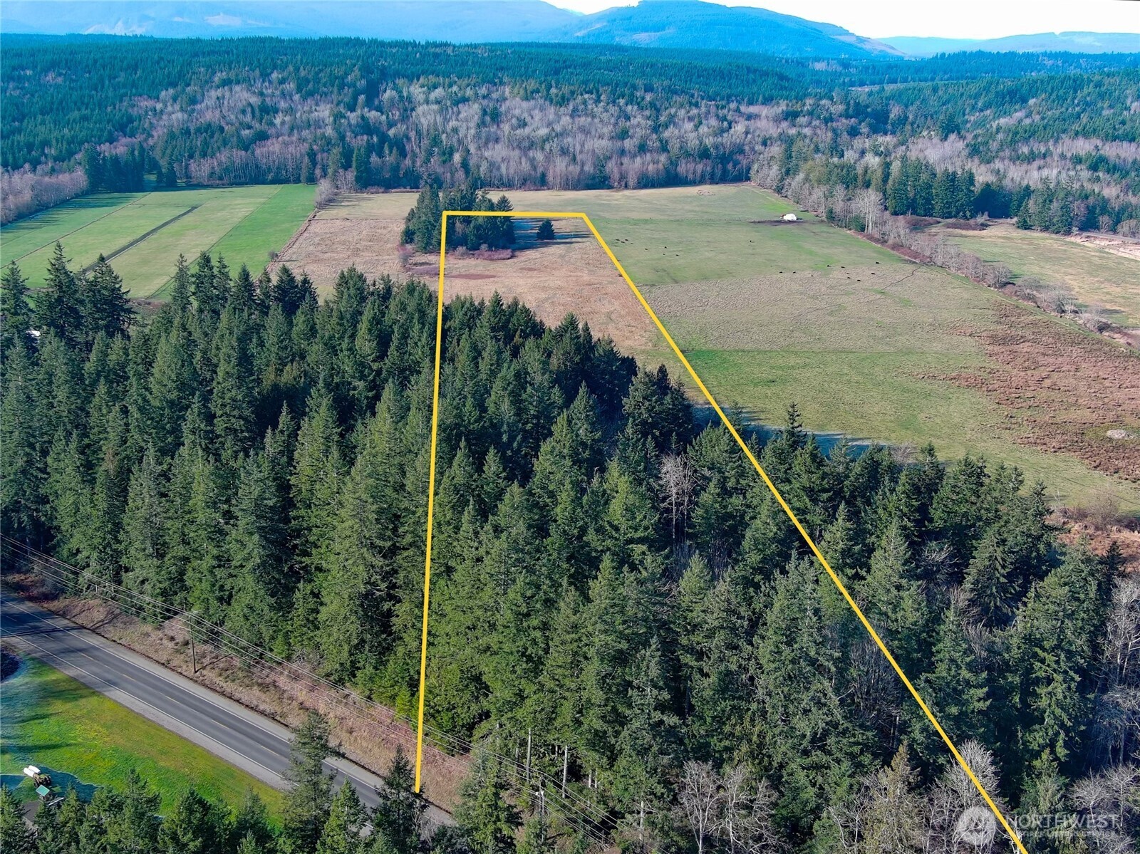 5662 Center Road Property Photo 4