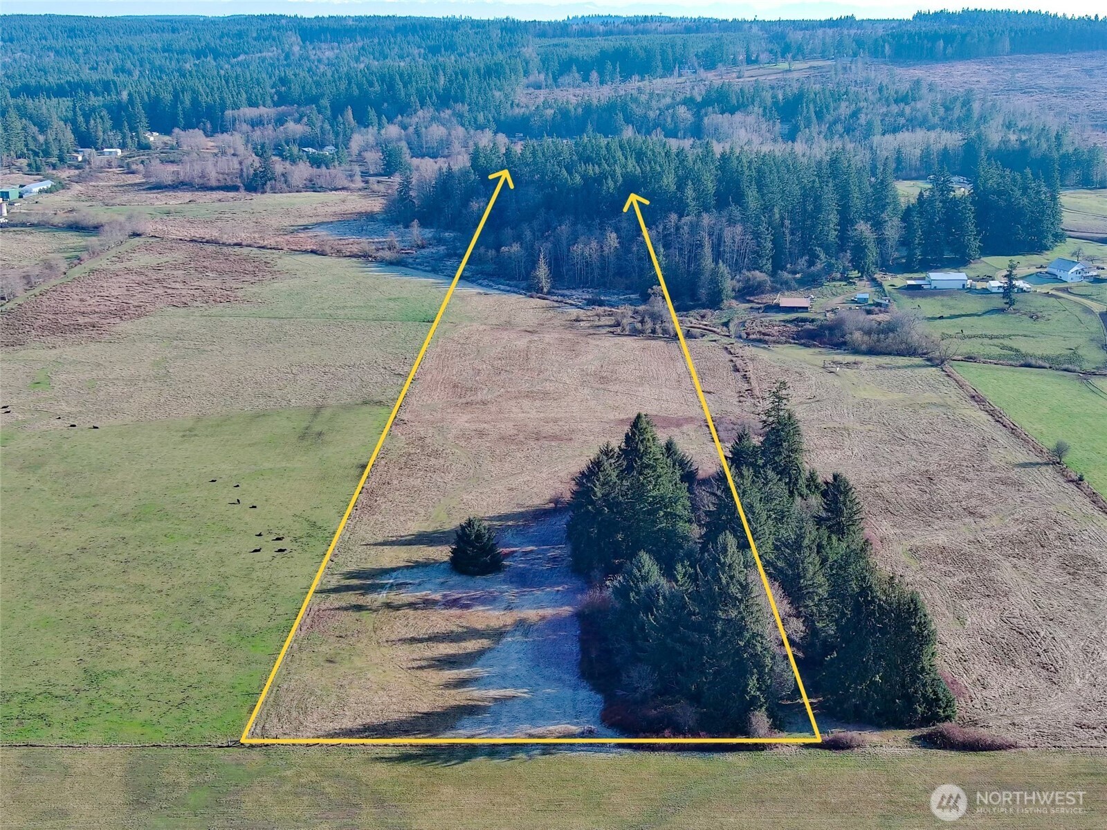 5662 Center Road Property Photo 5