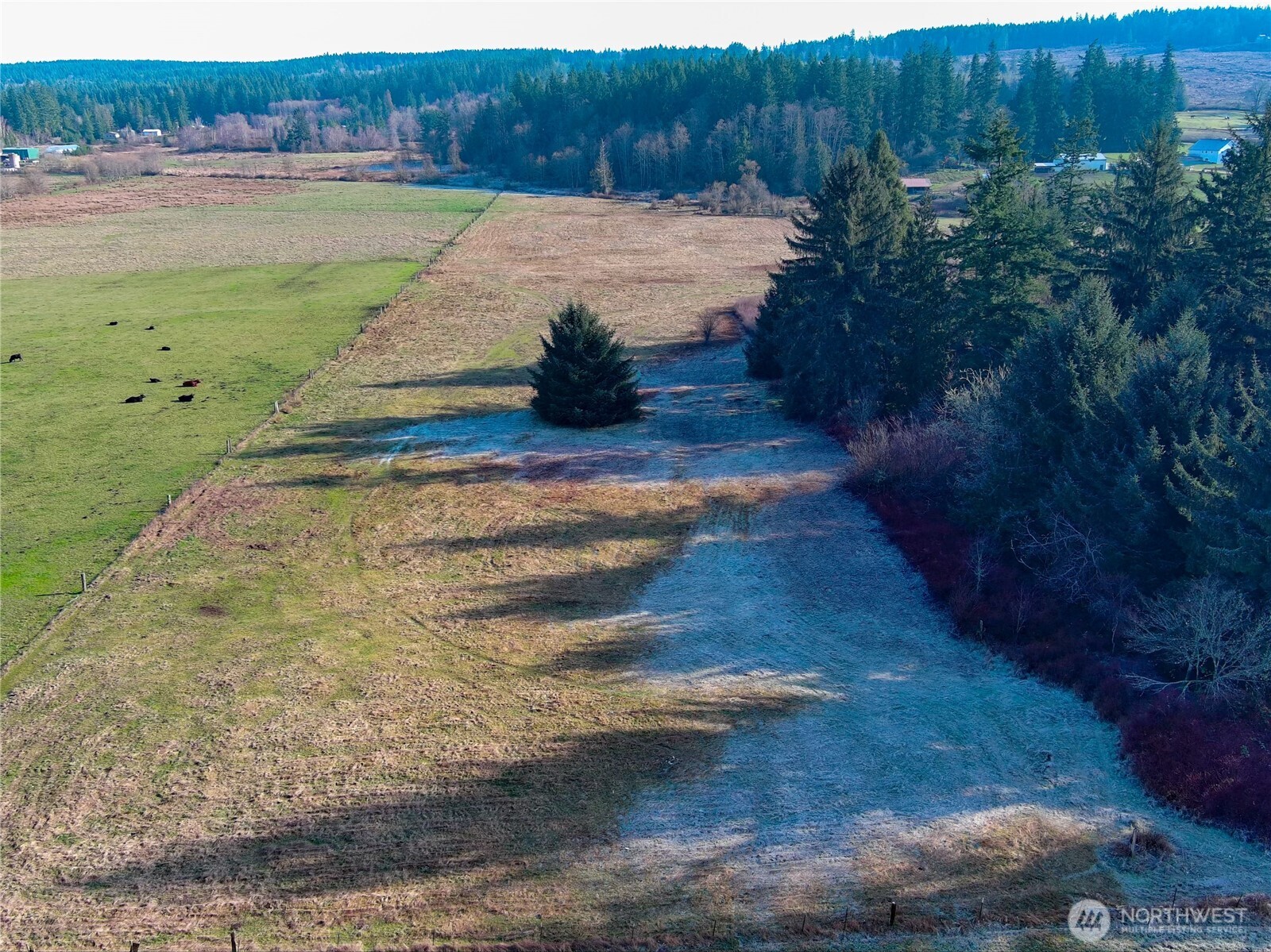 5662 Center Road Property Photo 6
