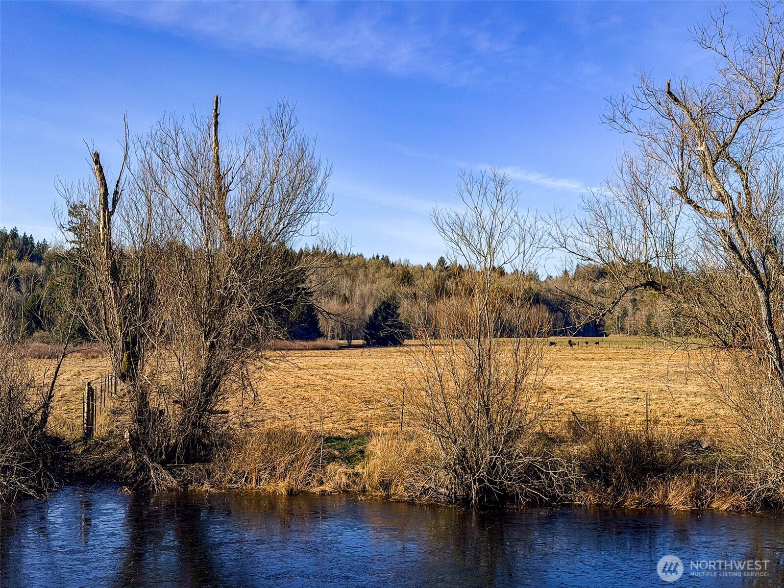 5662 Center Road Property Photo 10
