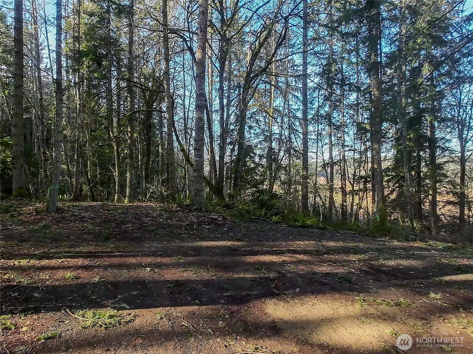 5662 Center Road Property Photo 15