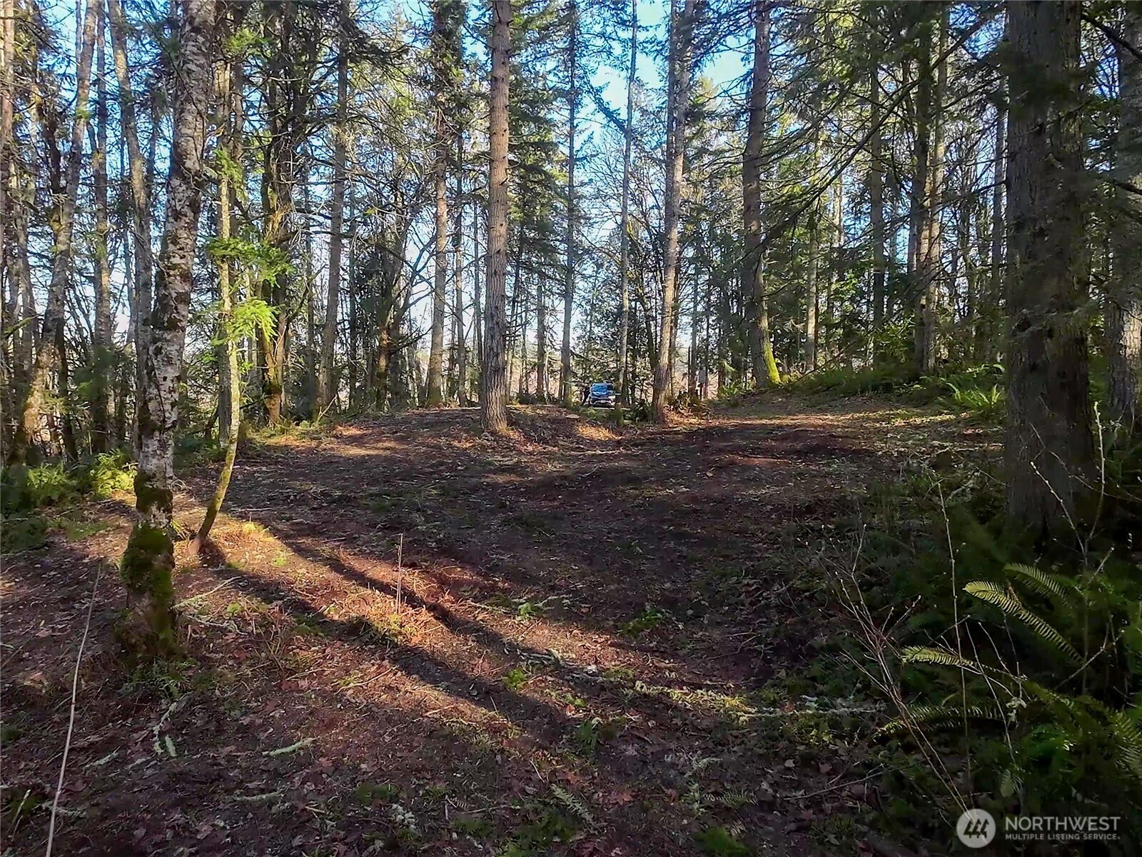 5662 Center Road Property Photo 16
