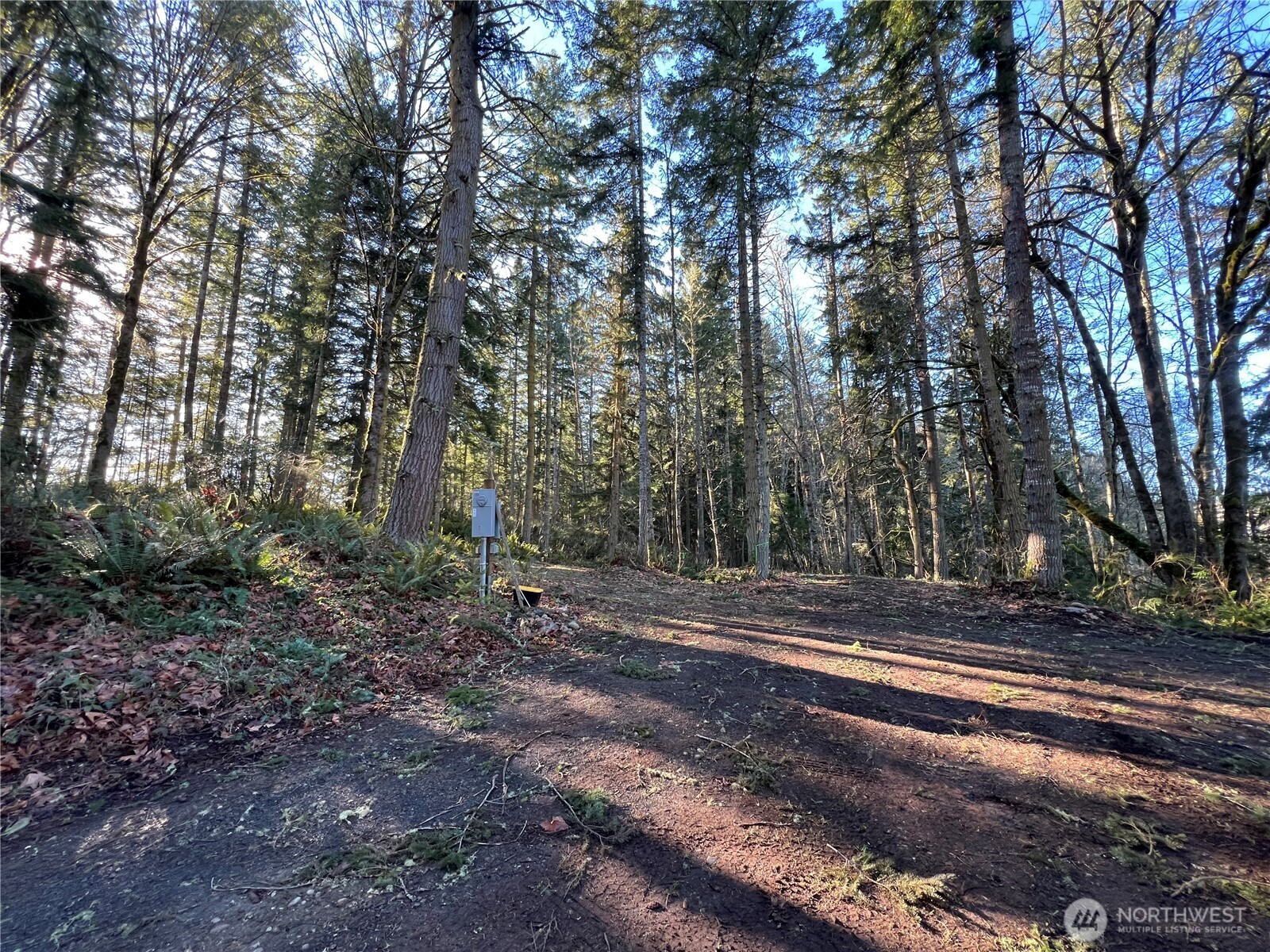 5662 Center Road Property Photo 20