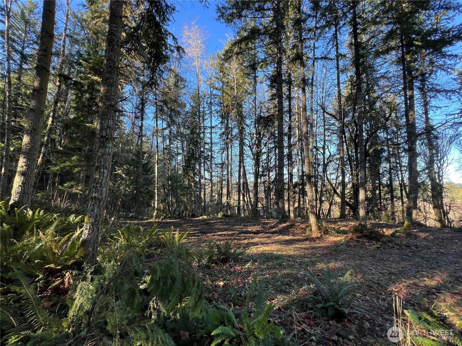 5662 Center Road Property Photo 21