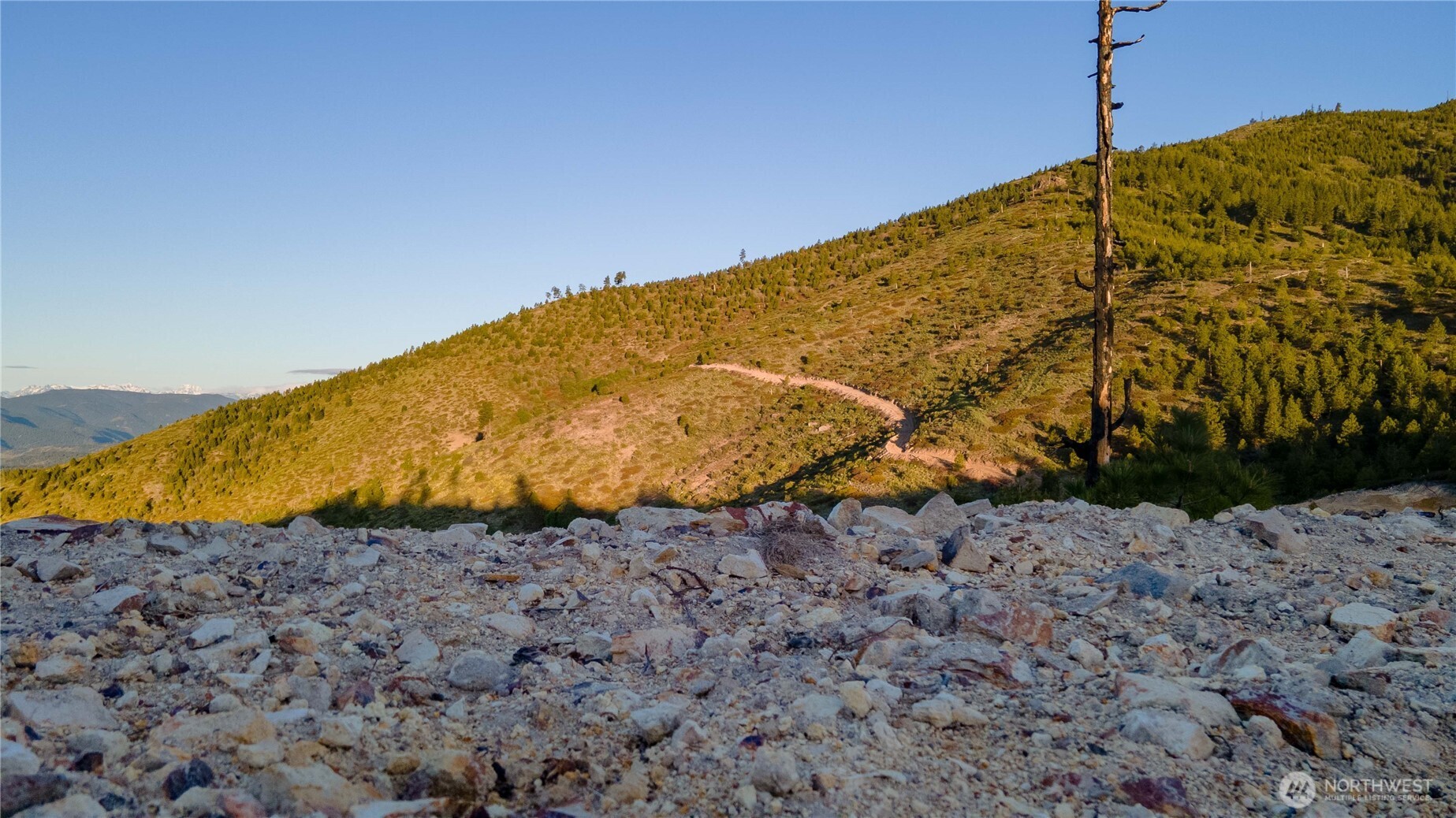 1 Usfs 5350 Property Photo 3