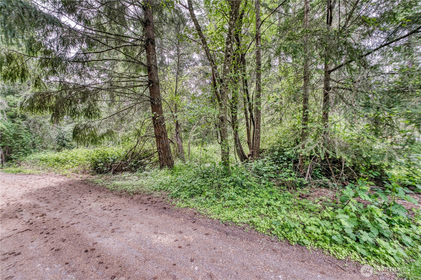 3214 77th Avenue Property Photo 9