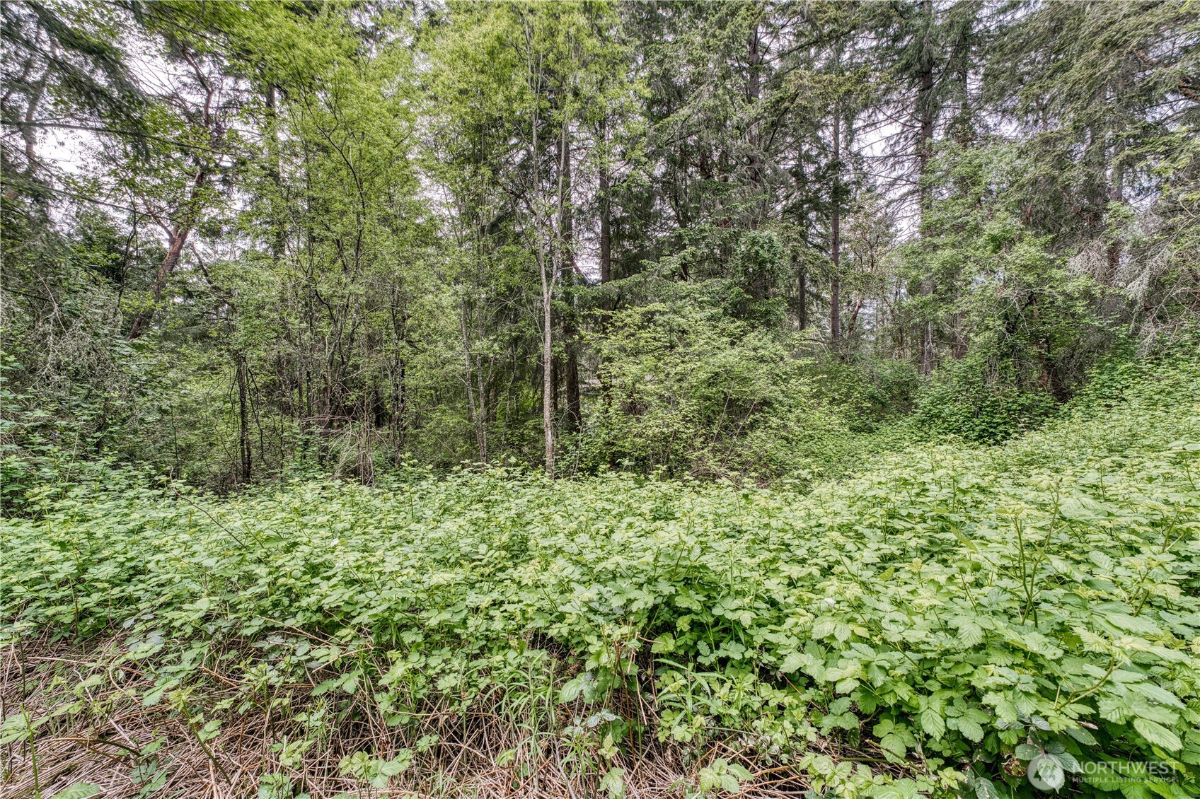 3214 77th Avenue Property Photo 10
