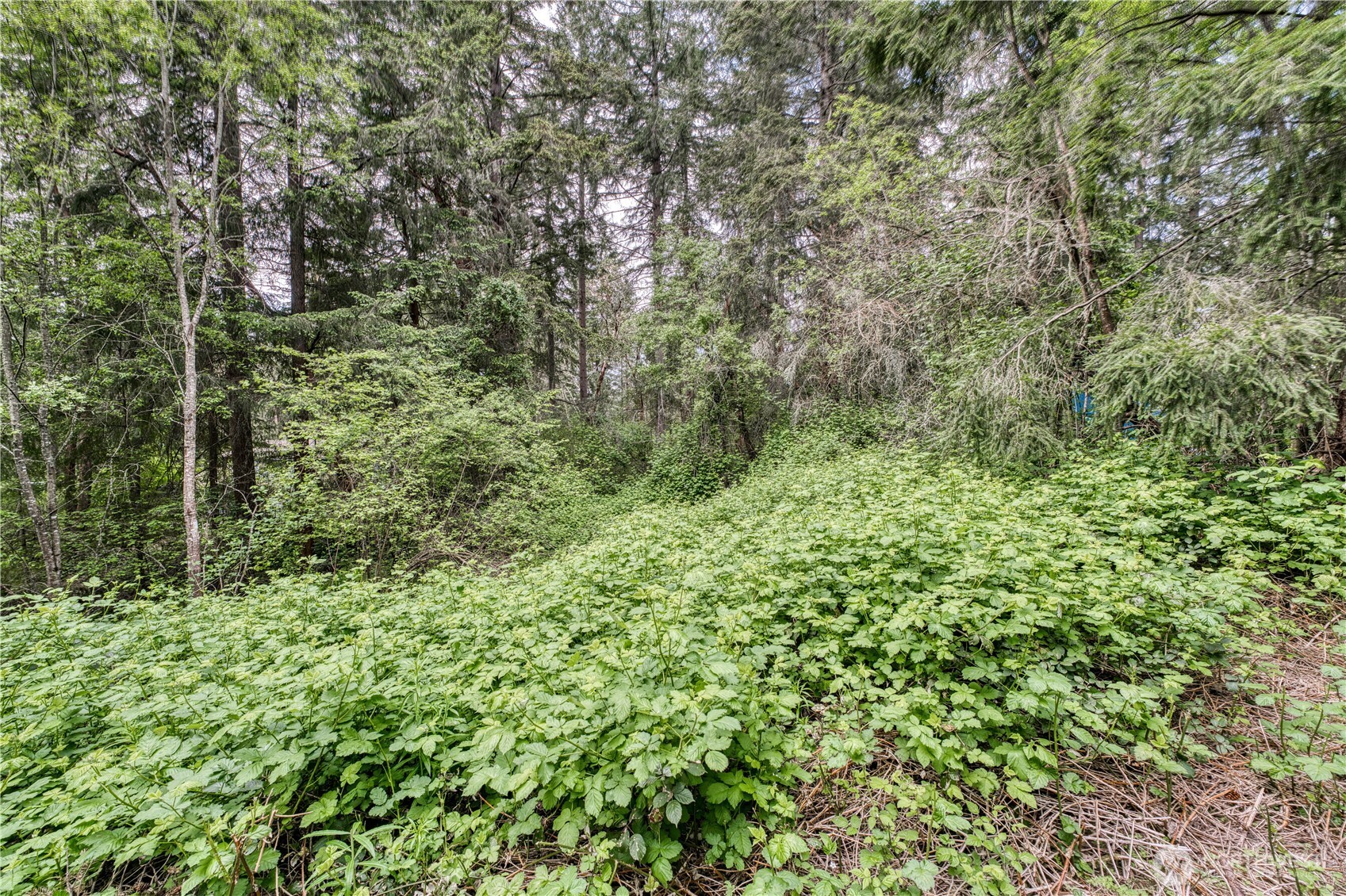 3214 77th Avenue Property Photo 11