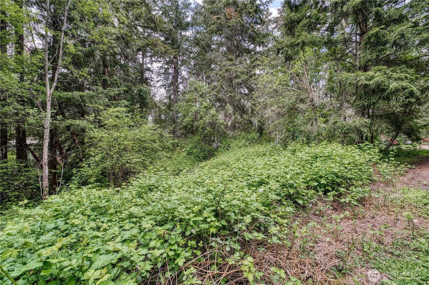 3214 77th Avenue Property Photo 13