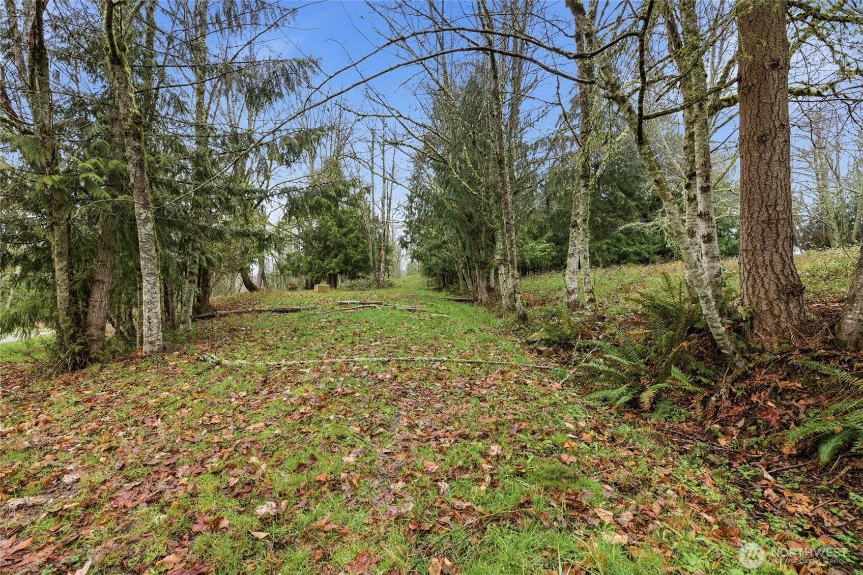 0 Wesner Street Property Photo 3