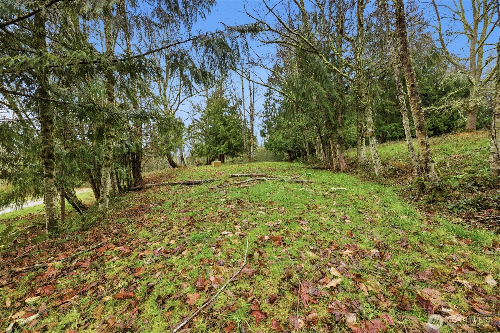 0 Wesner Street Property Photo 6