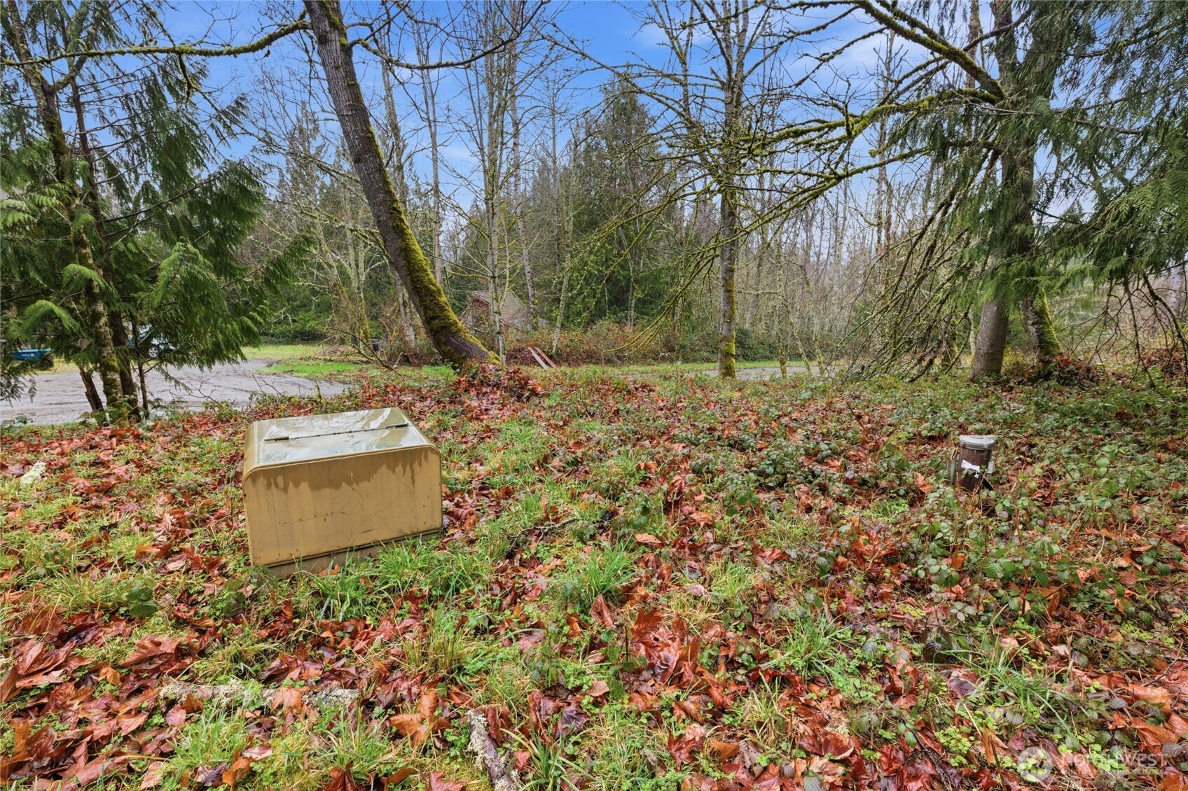 0 Wesner Street Property Photo 8