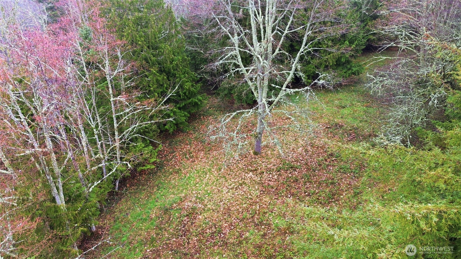 0 Wesner Street Property Photo 17