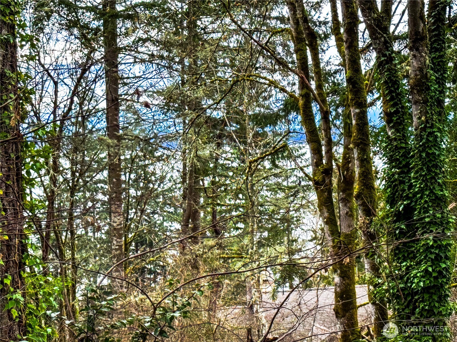 468 3rd Court Property Photo 1