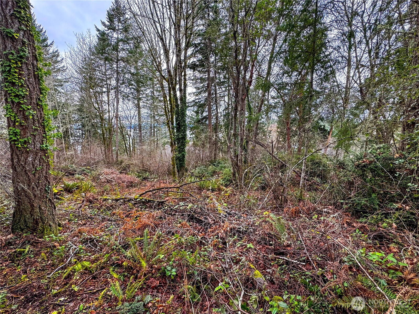 468 3rd Court Property Photo 2