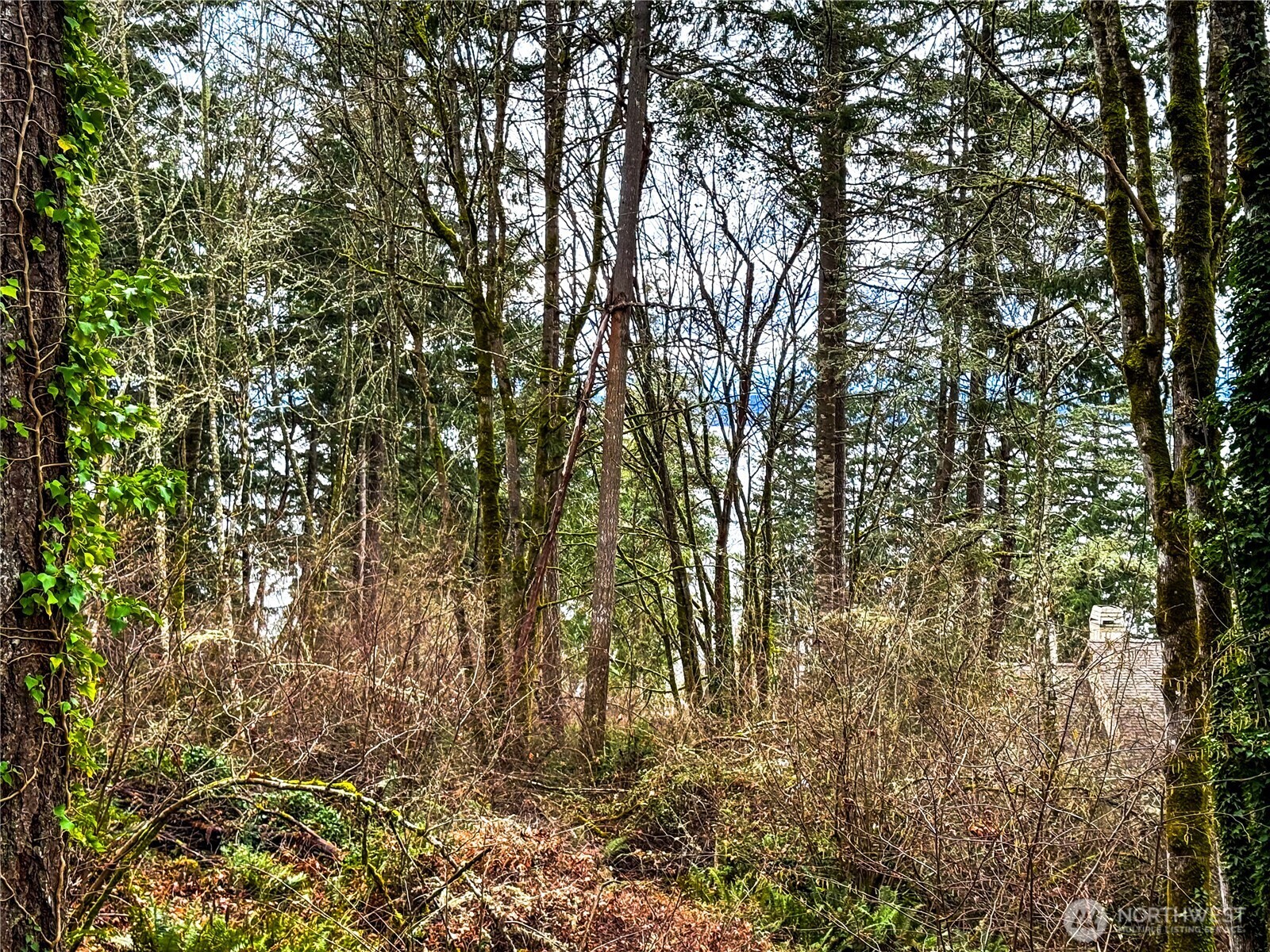 468 3rd Court Property Photo 6