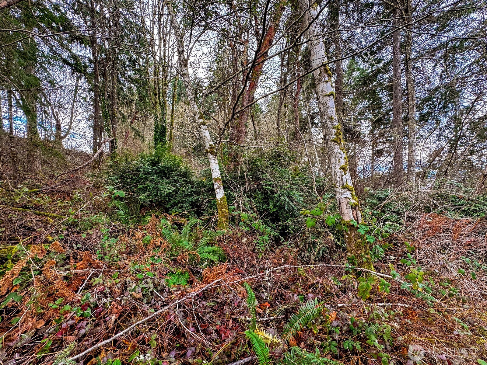 468 3rd Court Property Photo 11