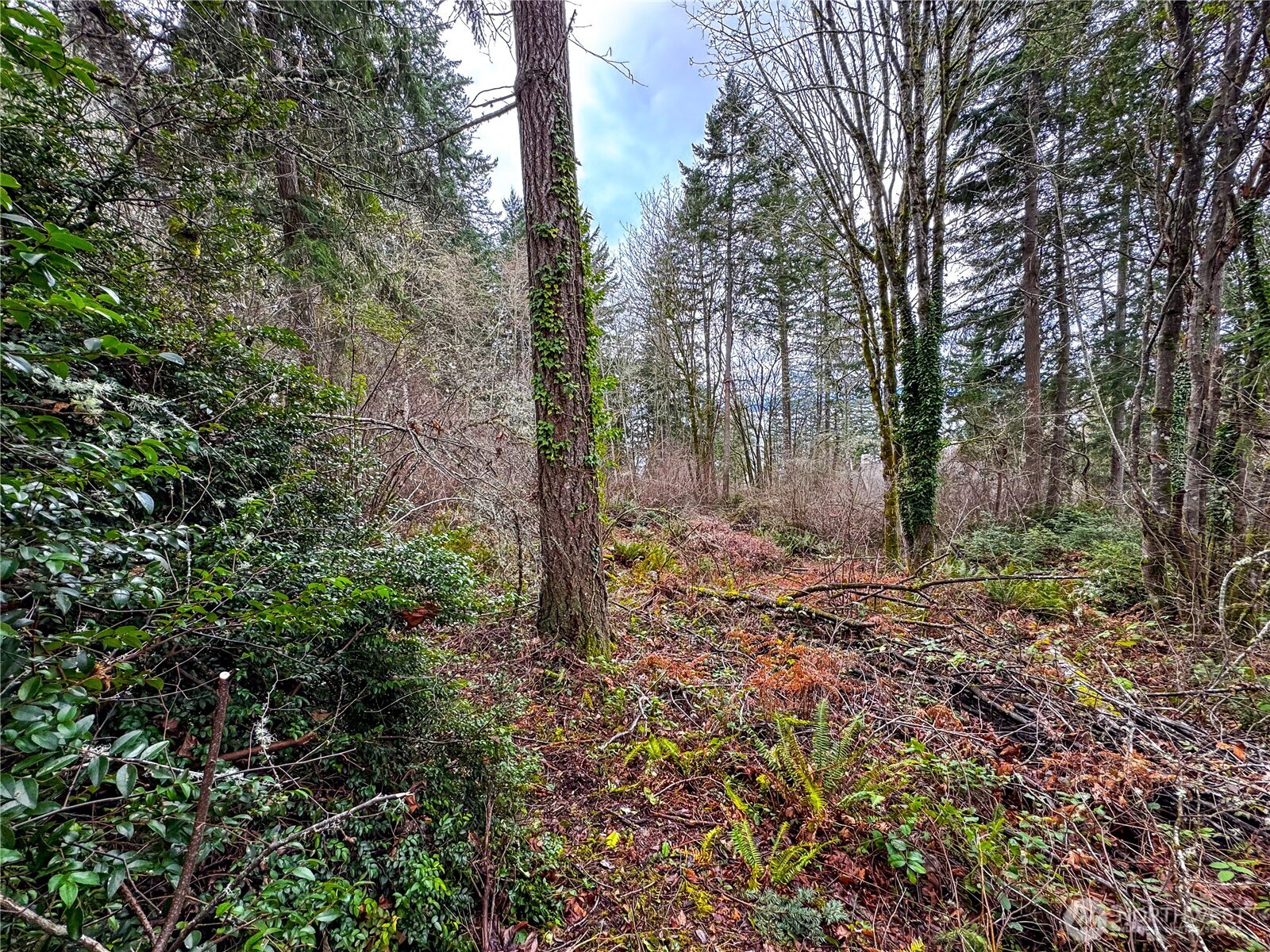 468 3rd Court Property Photo 12