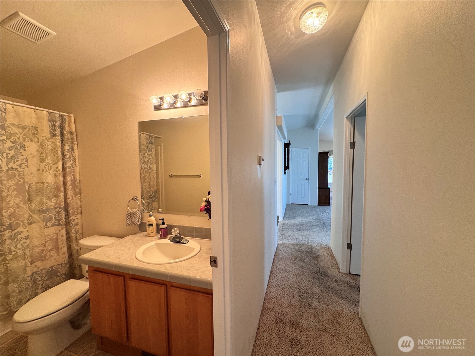 528 N 7th Avenue Property Photo 19