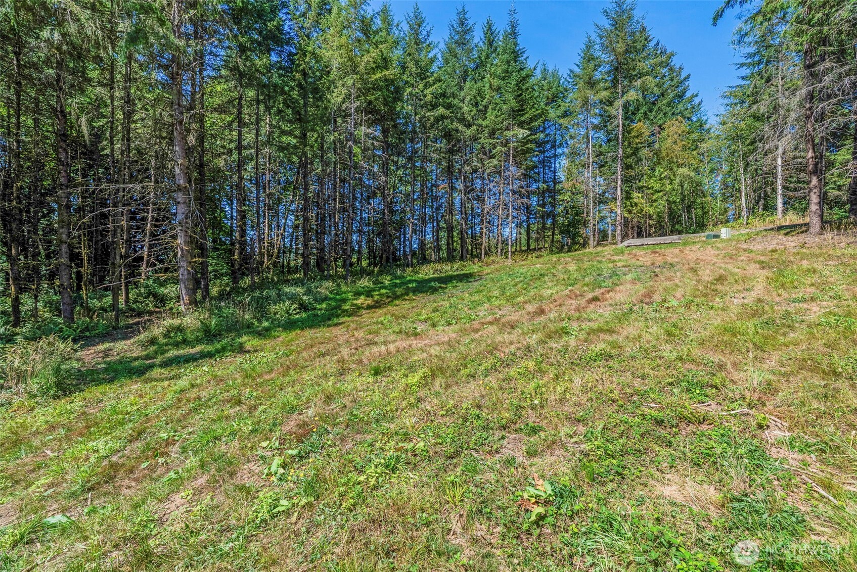 0 Old Tree Farm Drive 1 Property Photo 1