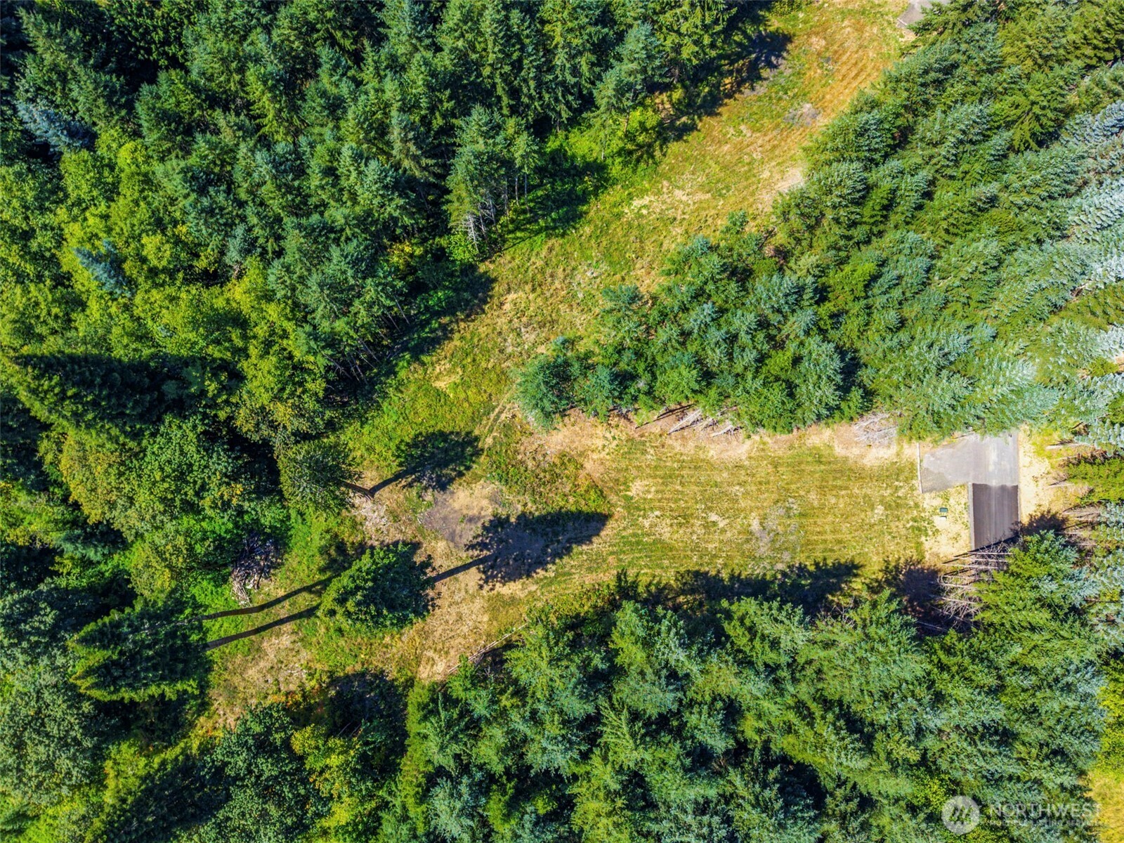 0 Old Tree Farm Drive 1 Property Photo 2