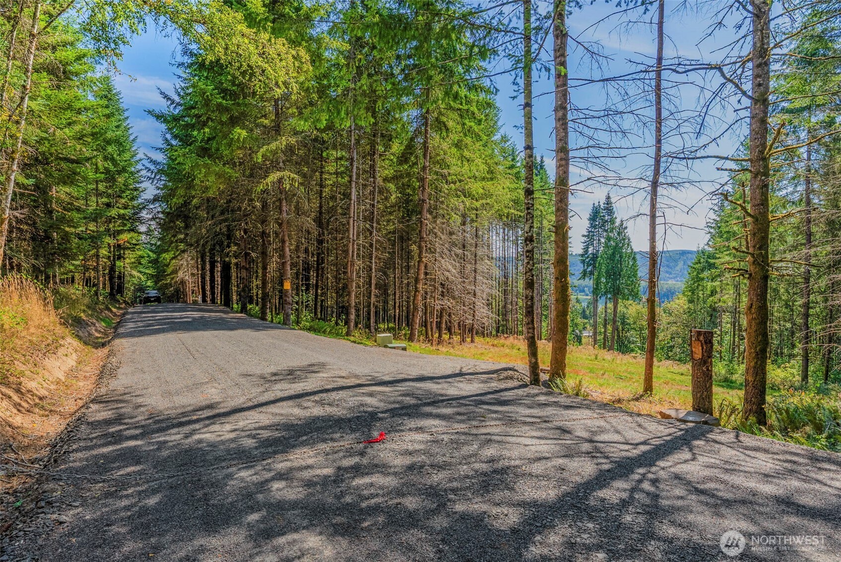 0 Old Tree Farm Drive 1 Property Photo 5