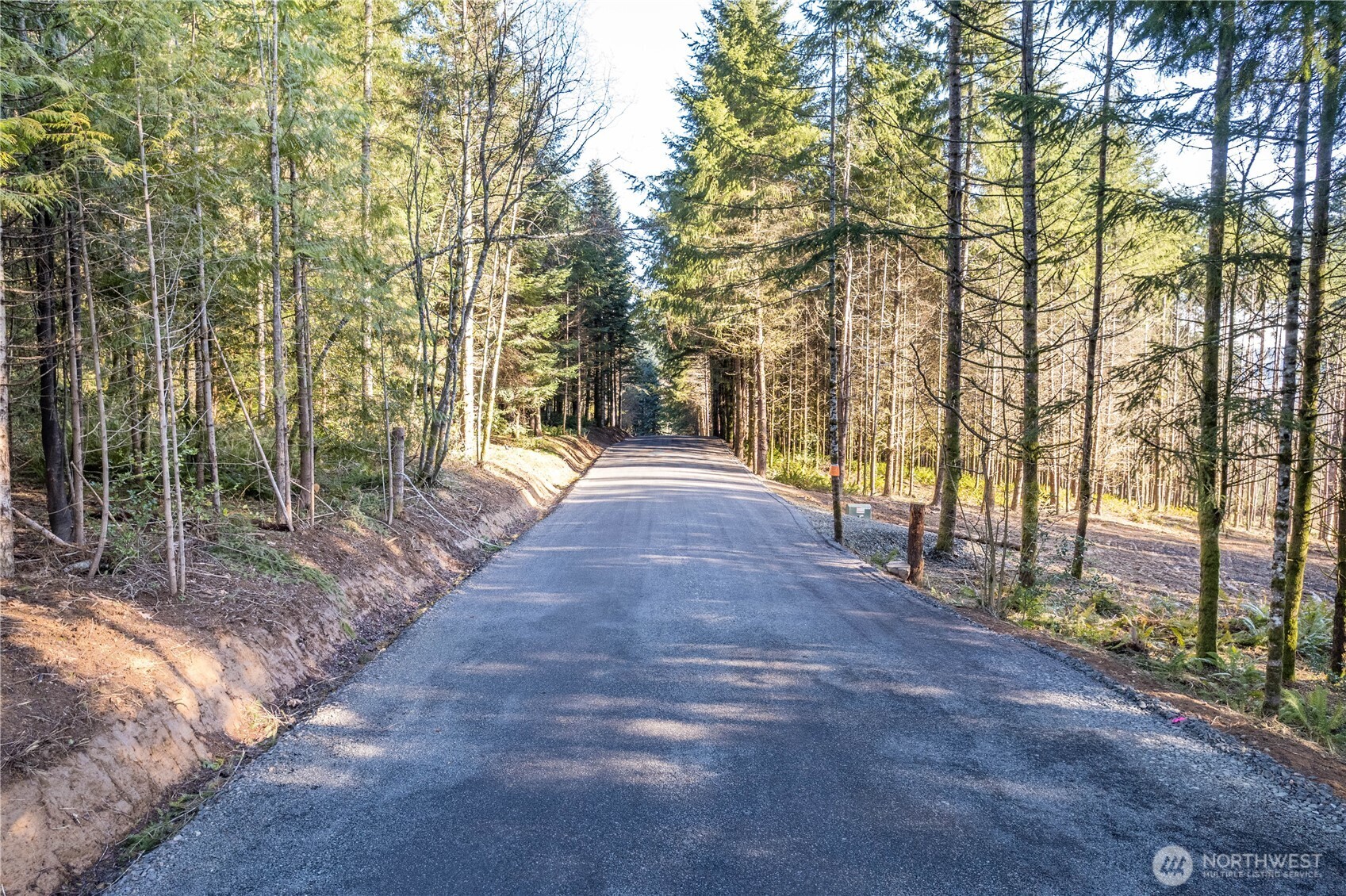0 Old Tree Farm Drive 1 Property Photo 6