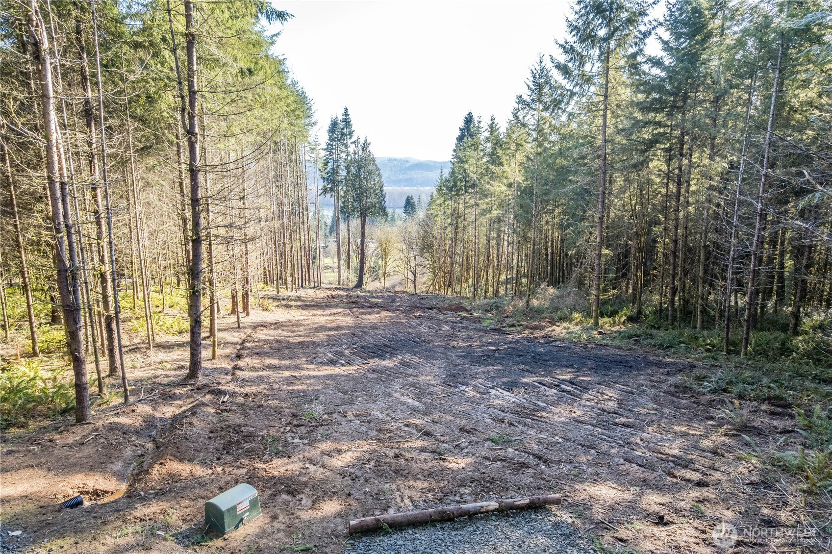 0 Old Tree Farm Drive 1 Property Photo 8