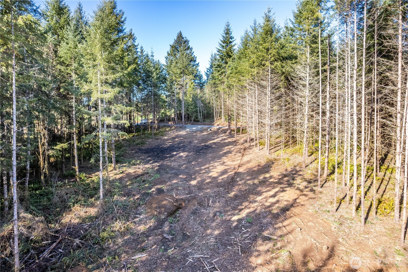 0 Old Tree Farm Drive 1 Property Photo 10