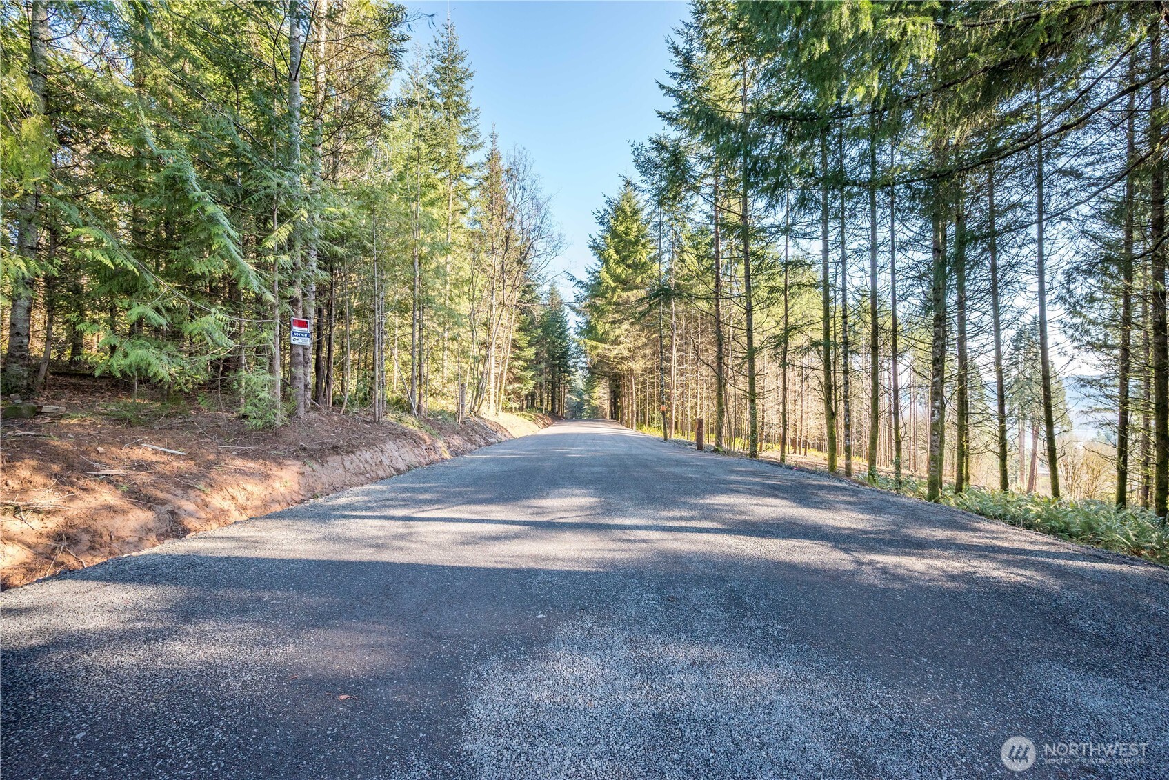 0 Old Tree Farm Drive 1 Property Photo 12