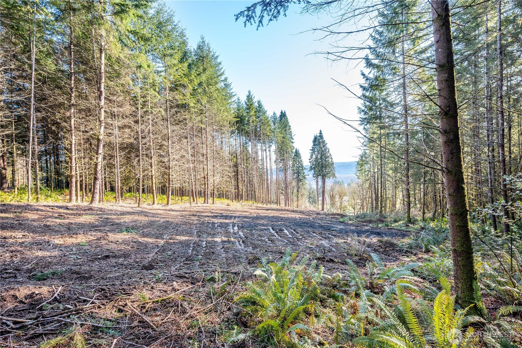 0 Old Tree Farm Drive 1 Property Photo 14
