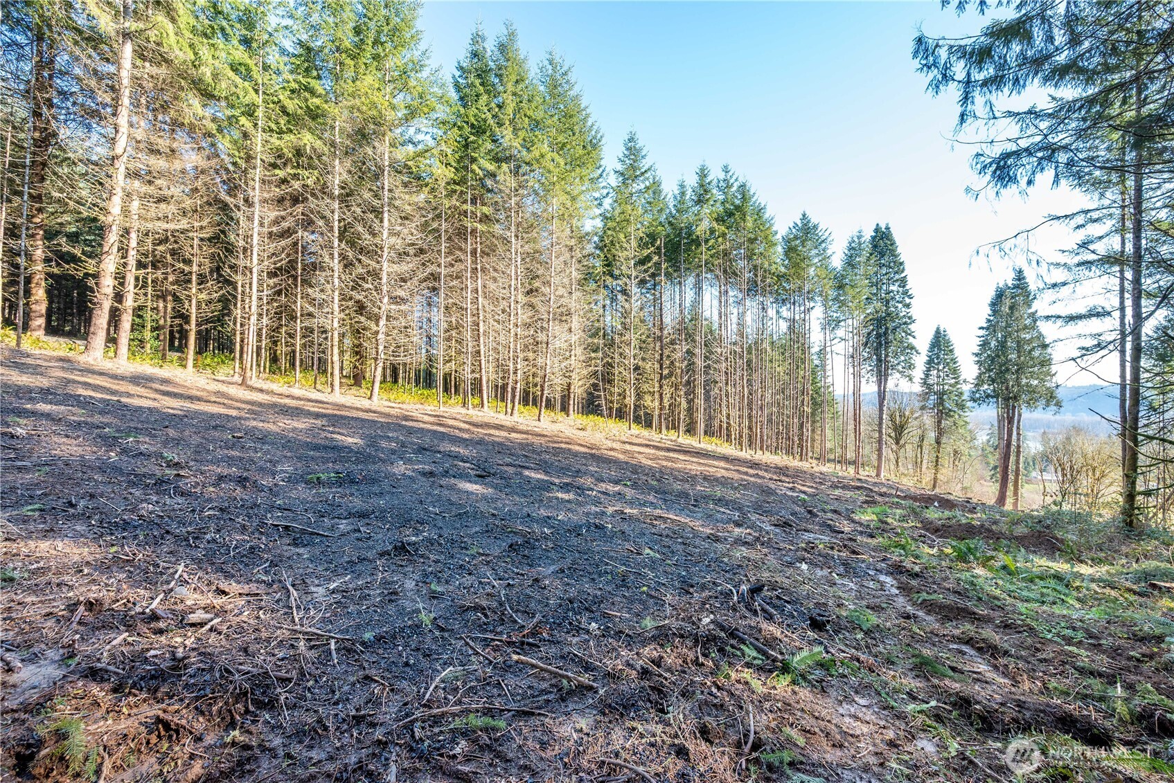 0 Old Tree Farm Drive 1 Property Photo 16
