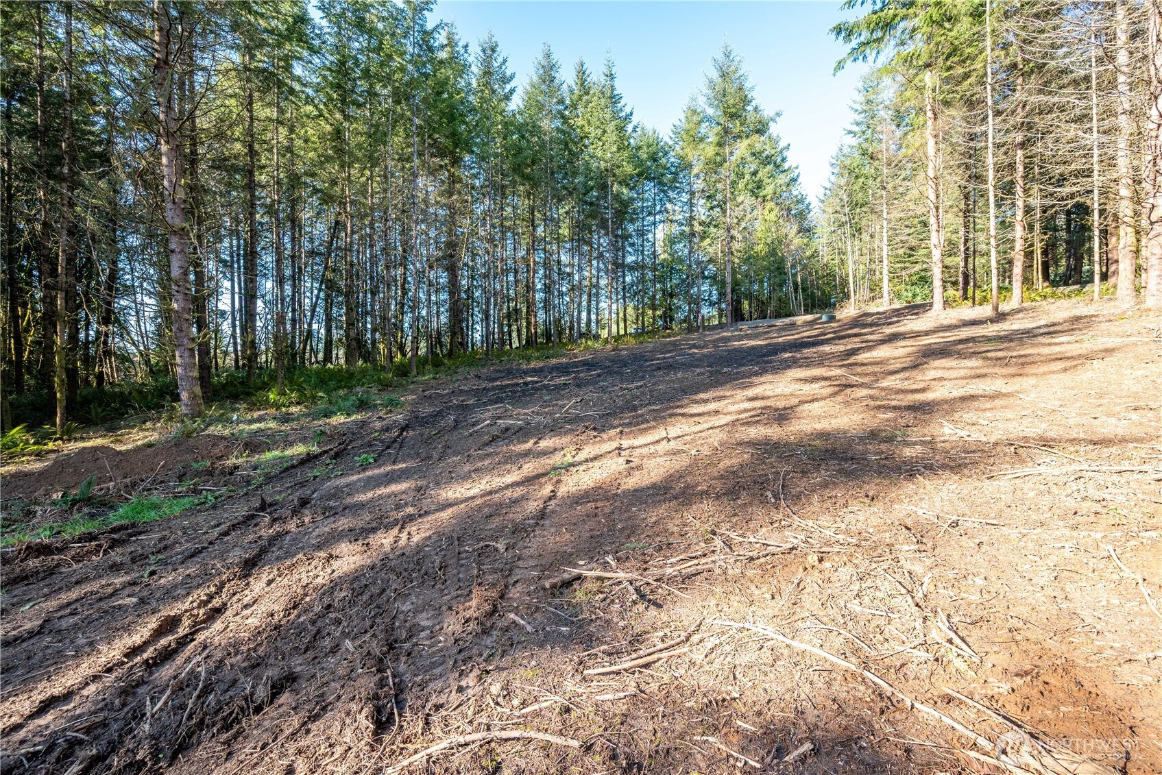 0 Old Tree Farm Drive 1 Property Photo 17