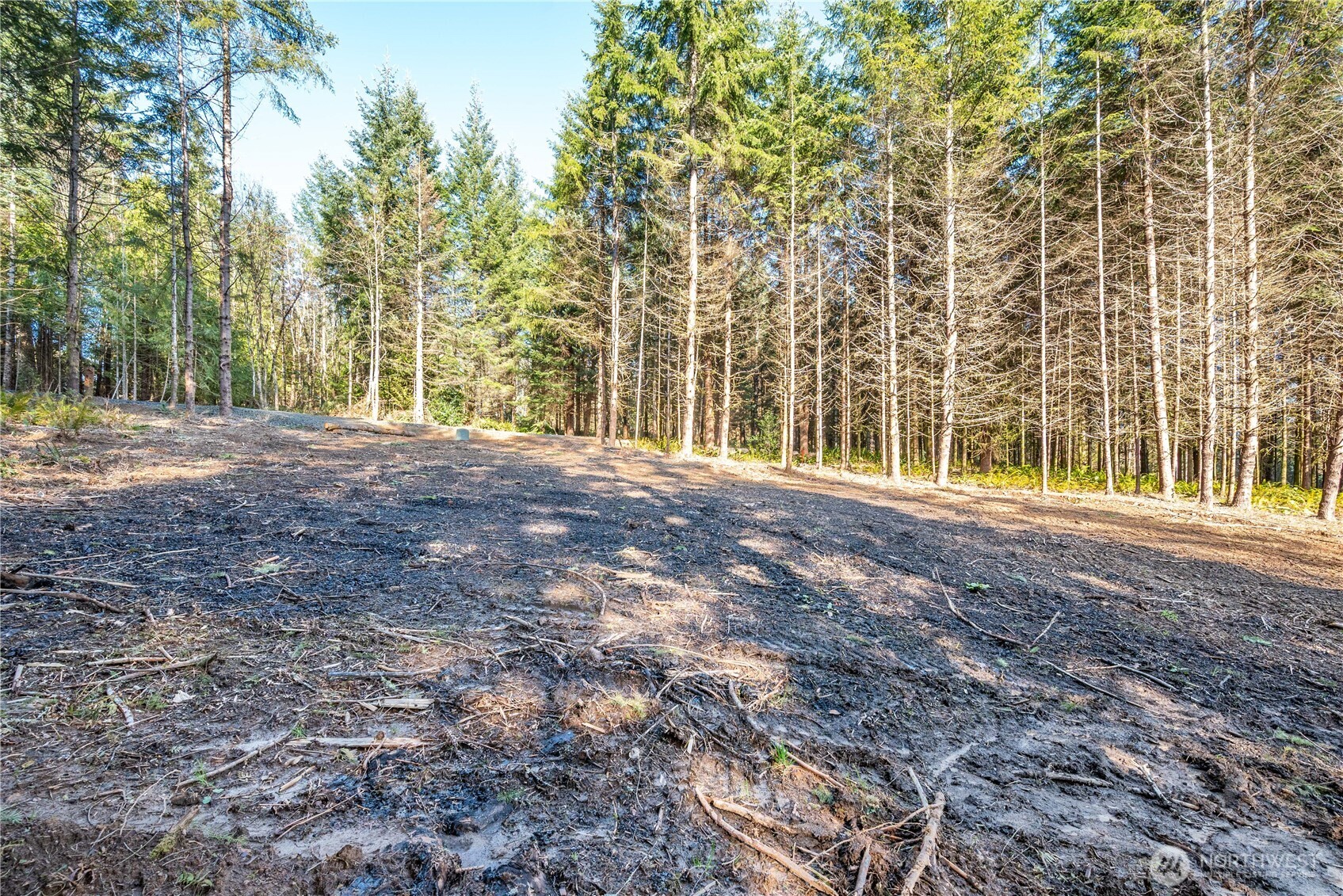 0 Old Tree Farm Drive 1 Property Photo 20