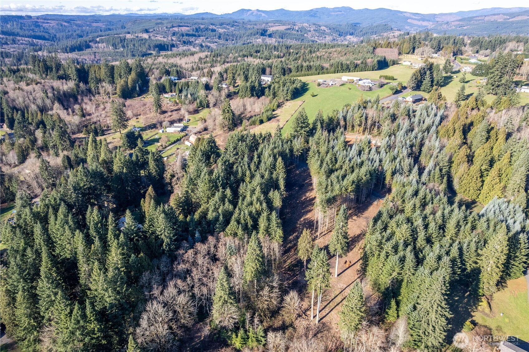 0 Old Tree Farm Drive 1 Property Photo 21