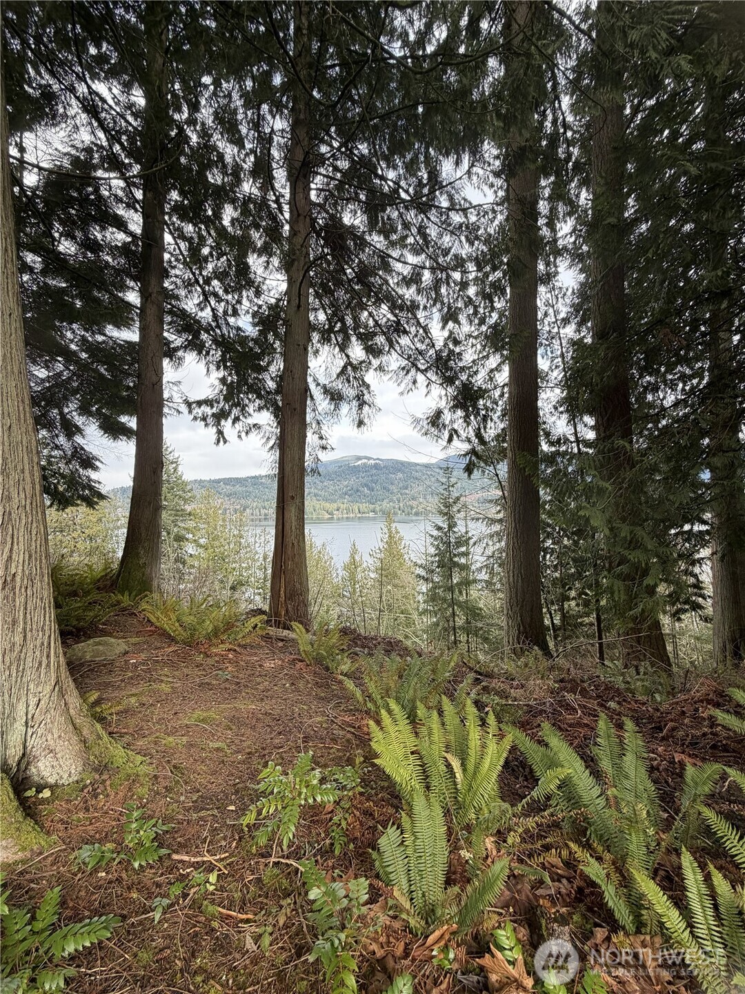 11 Autumn Vista Place Property Photo 3