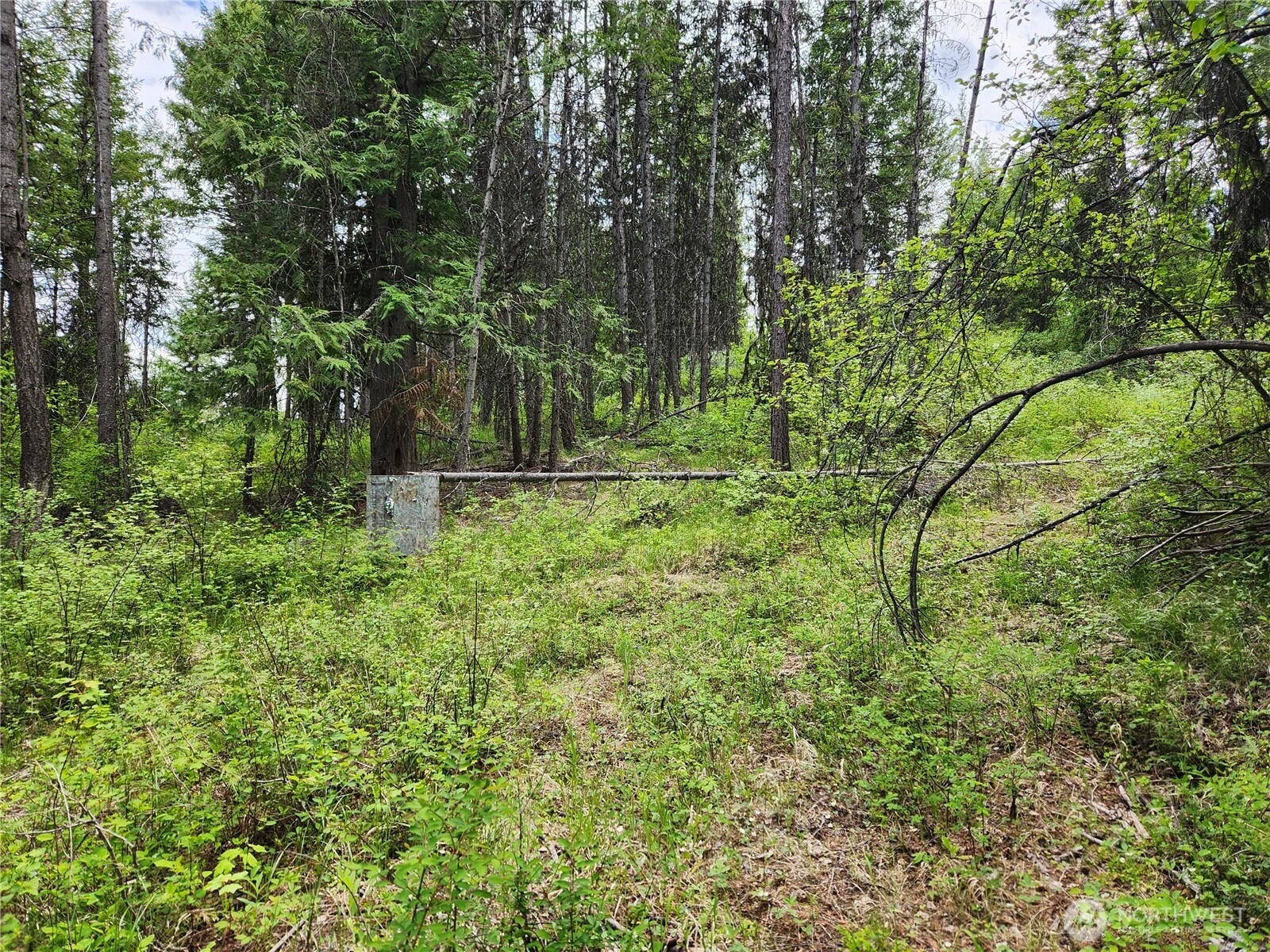 318 Rockabye Lane Property Photo 10