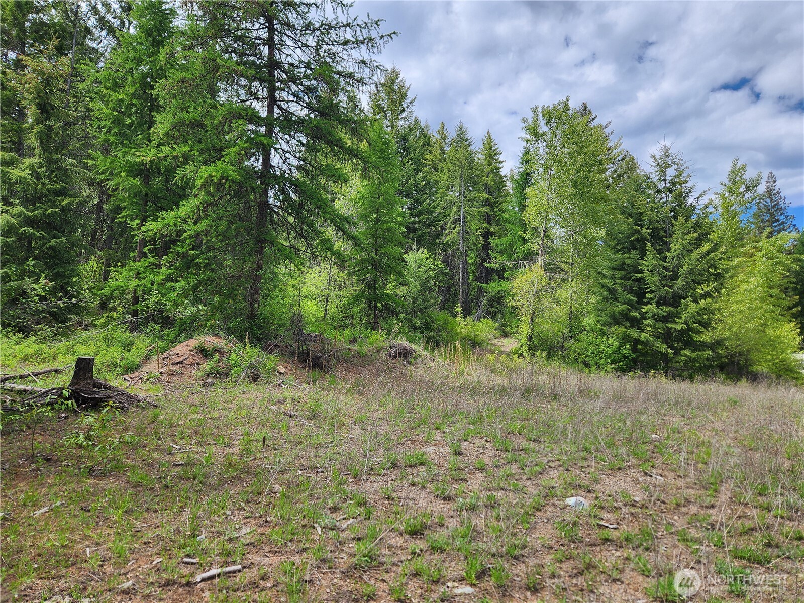318 Rockabye Lane Property Photo 17