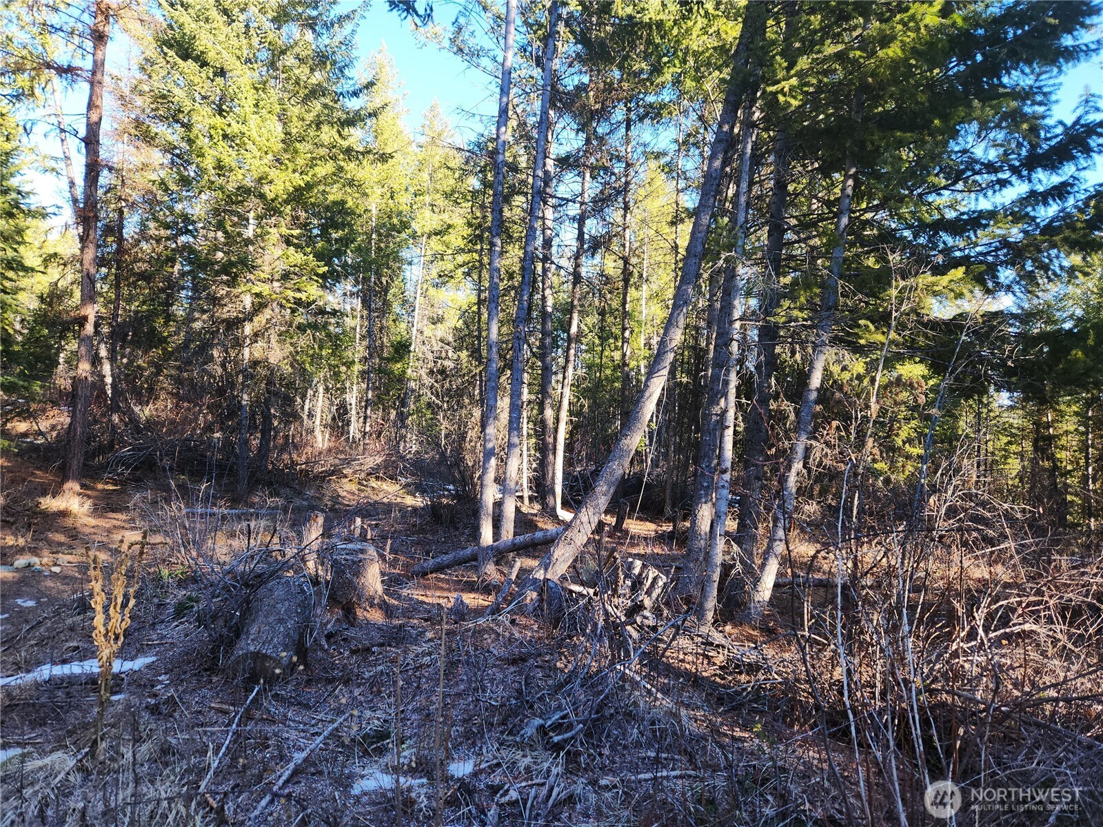 318 Rockabye Lane Property Photo 18
