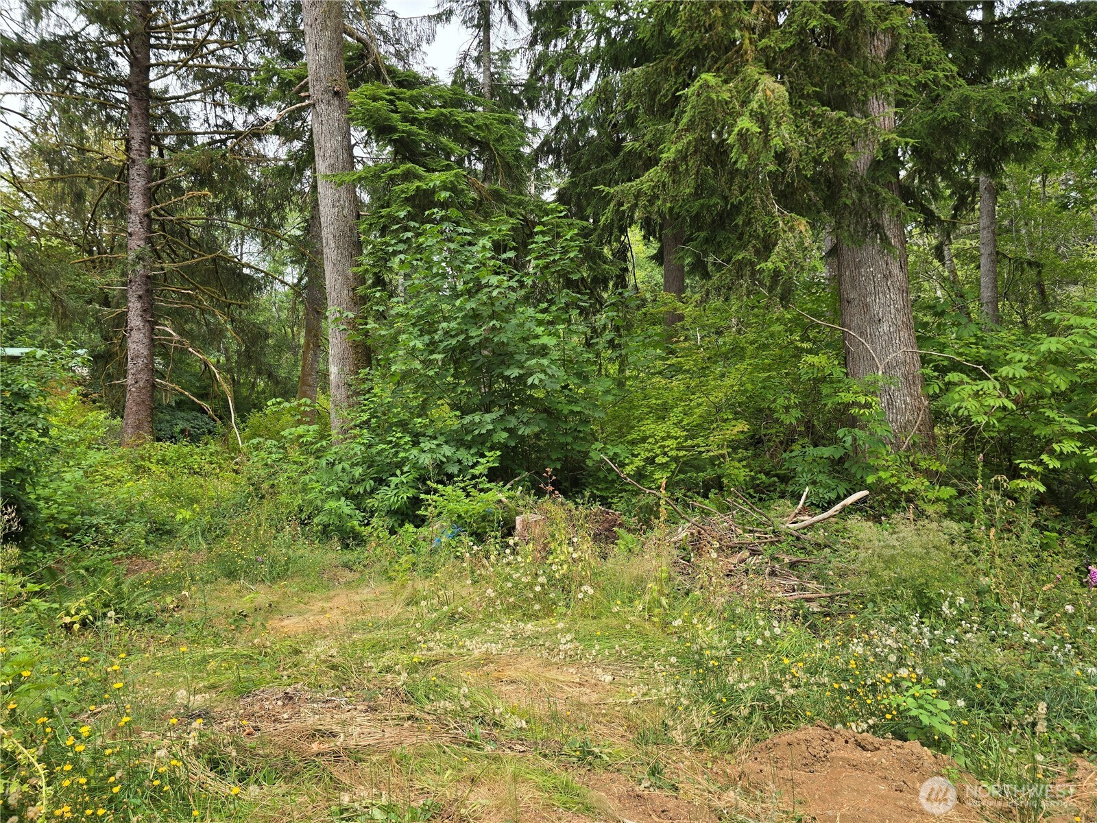 351 W Haven Drive Property Photo 6