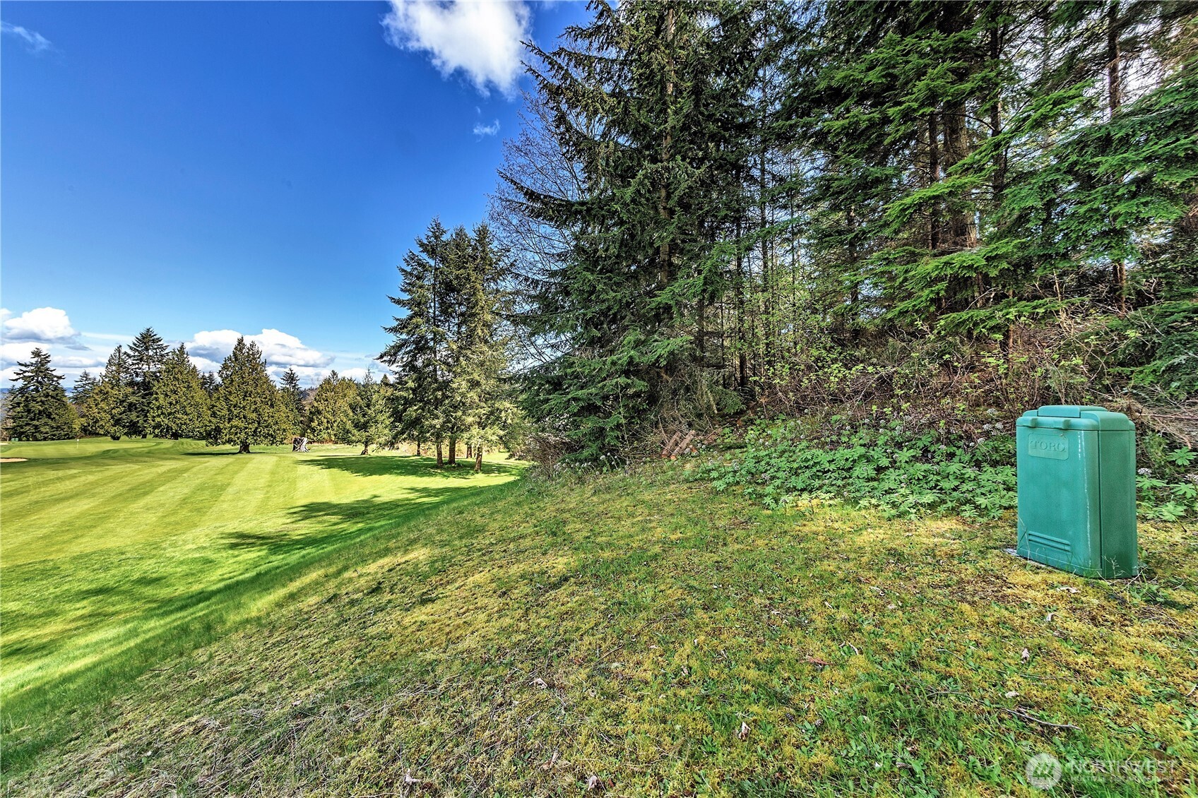 36 Dunbar Court Property Photo 23