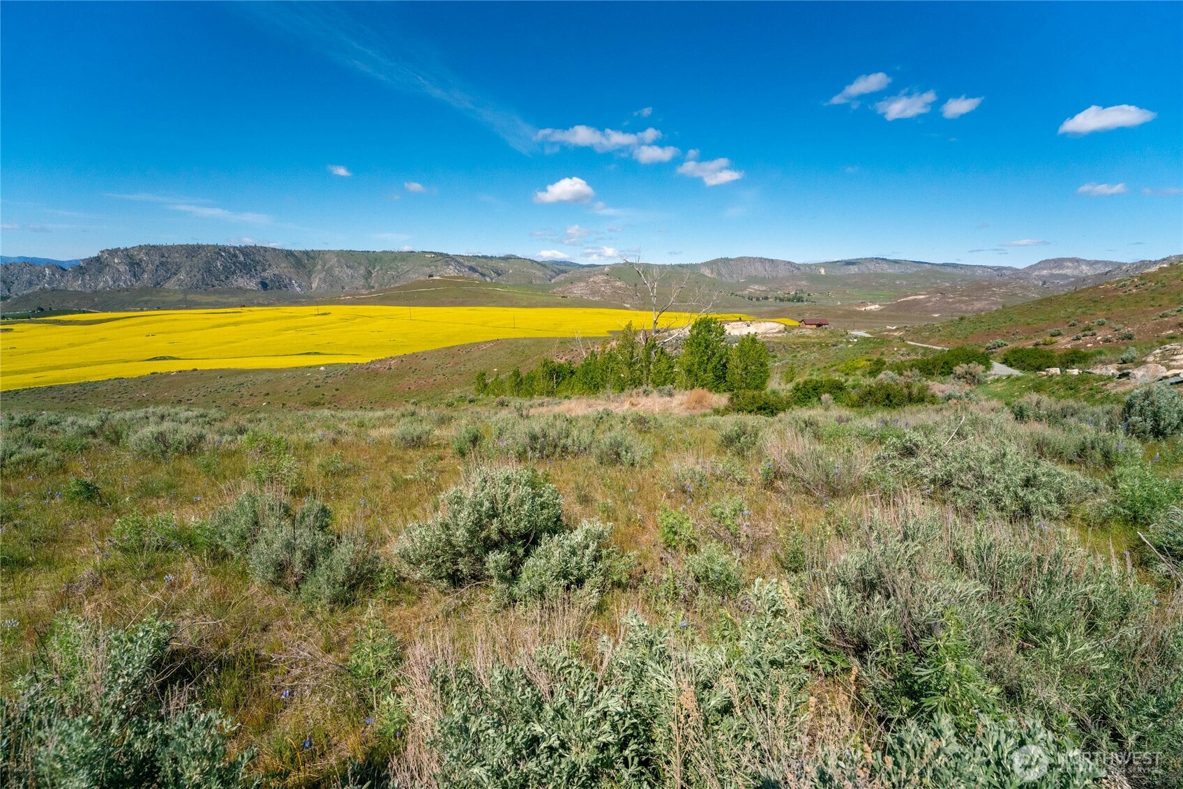 0 Plata Road Lot 4 Property Photo 9