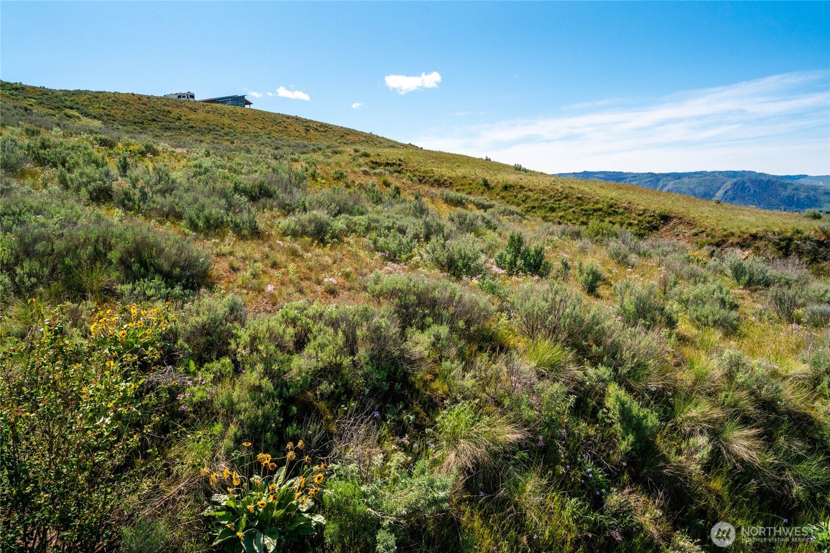 0 Plata Road Lot 4 Property Photo 11