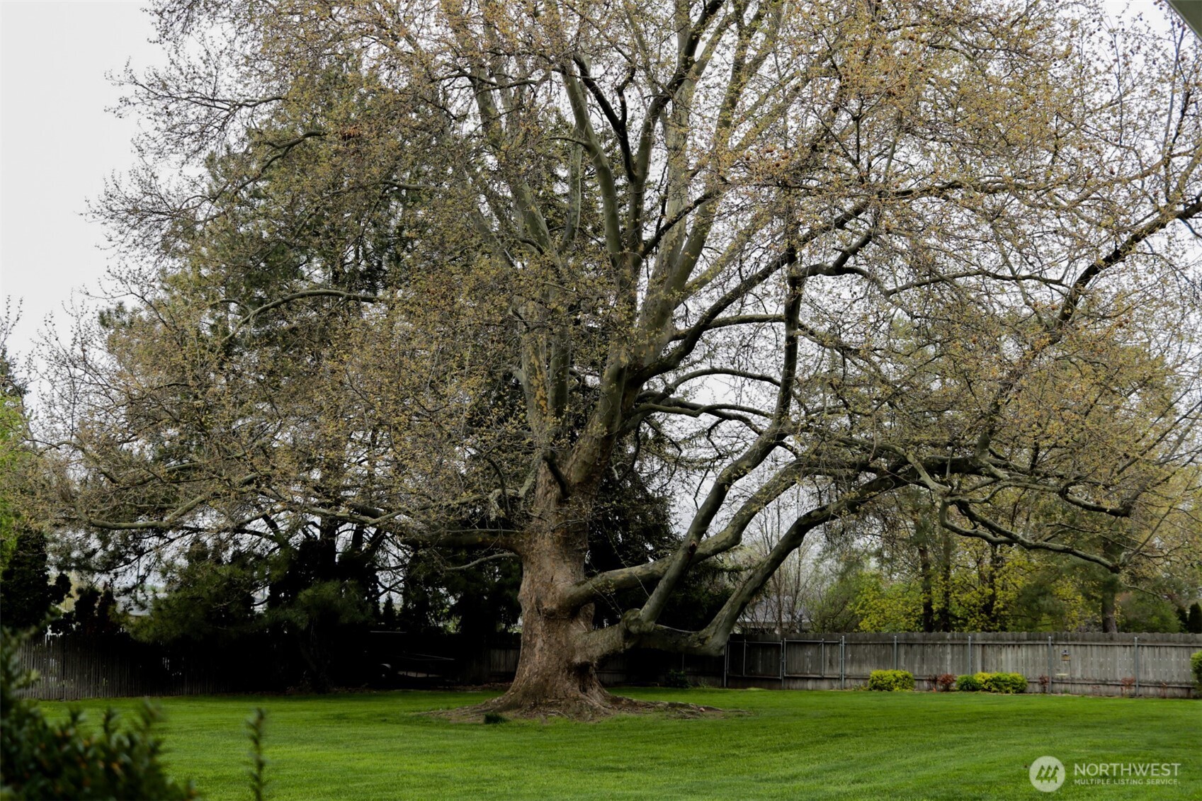 1917 Reser Road Property Photo 22