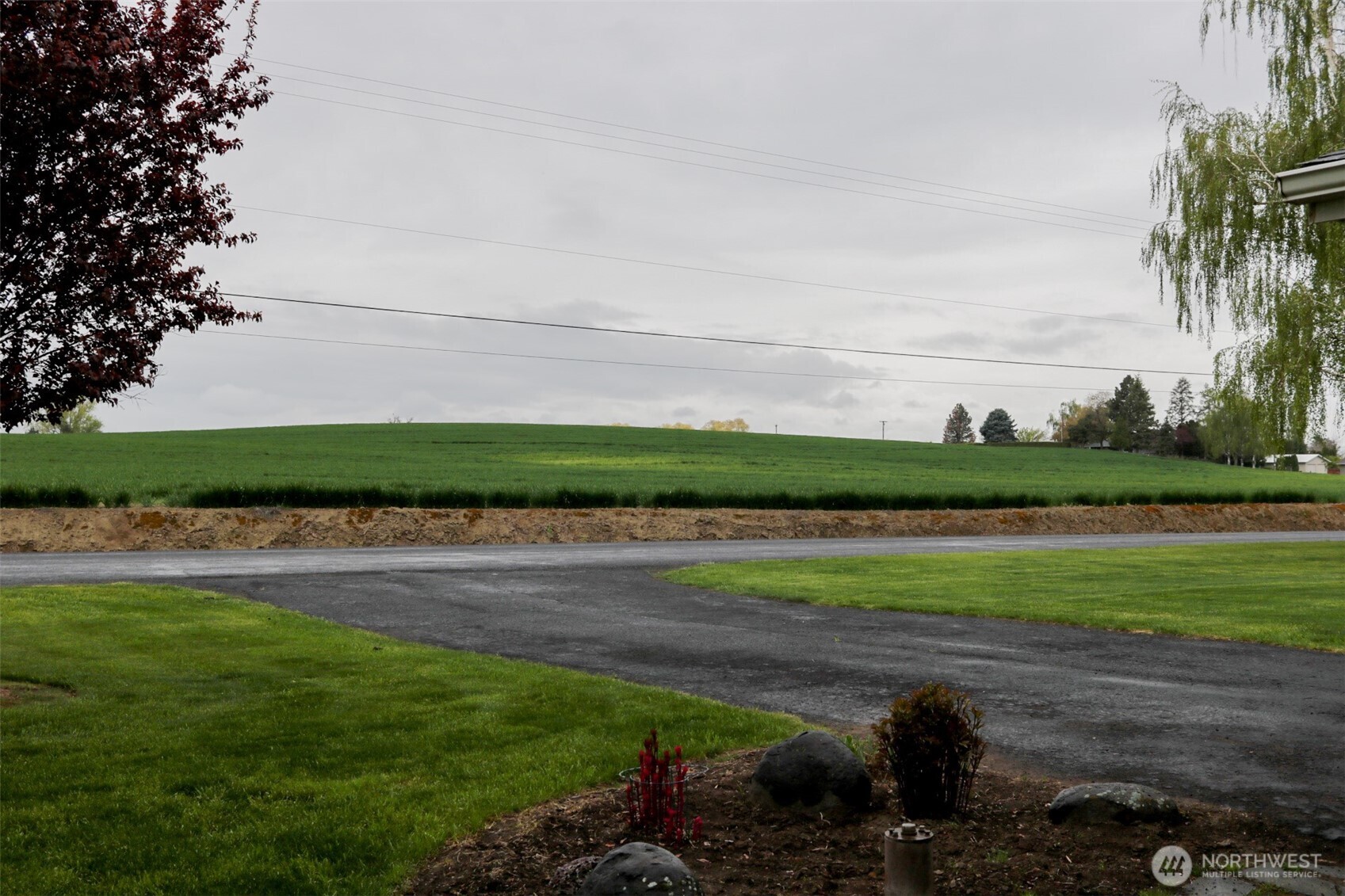 1917 Reser Road Property Photo 31