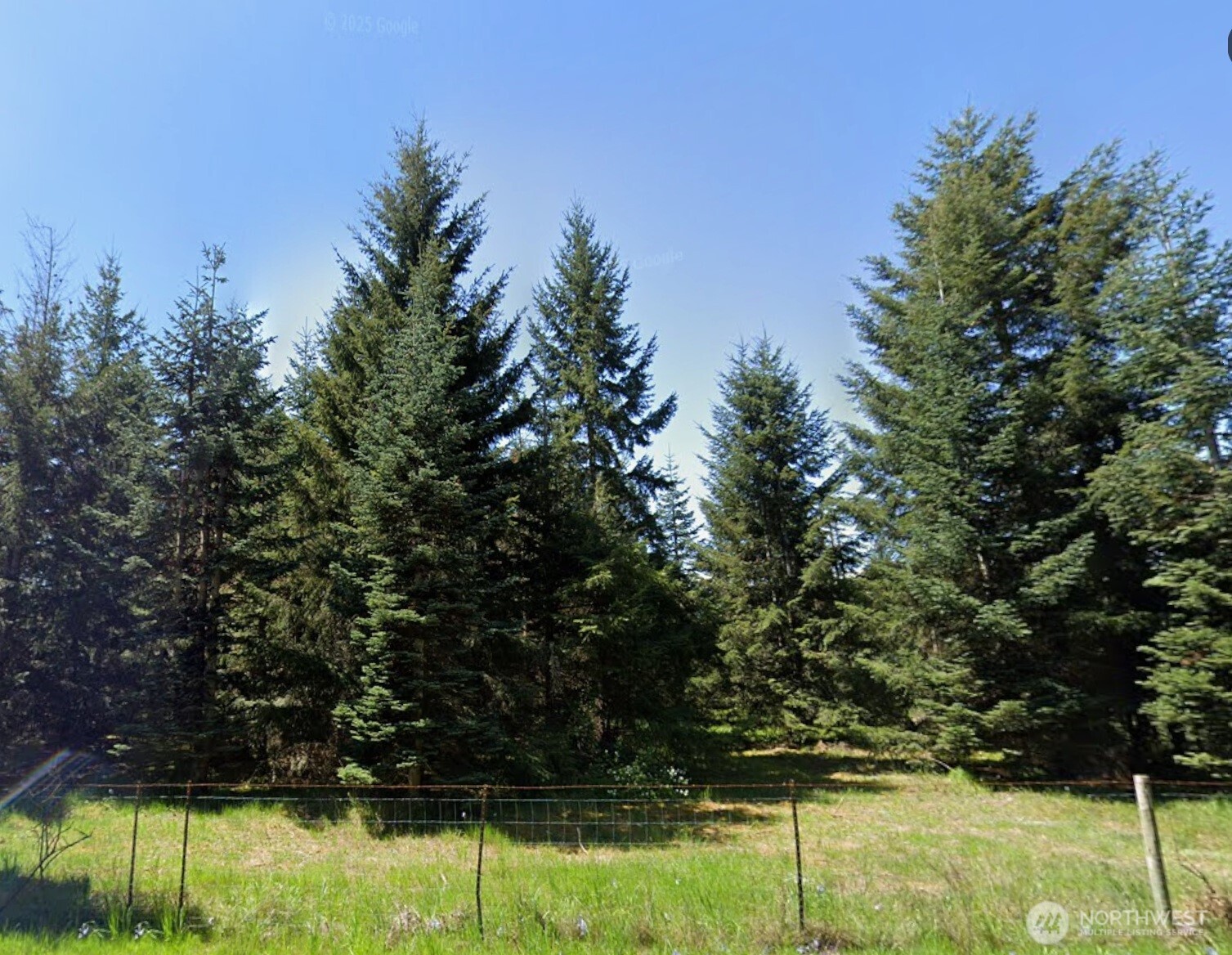 18601 Loganberry Street Property Photo 1