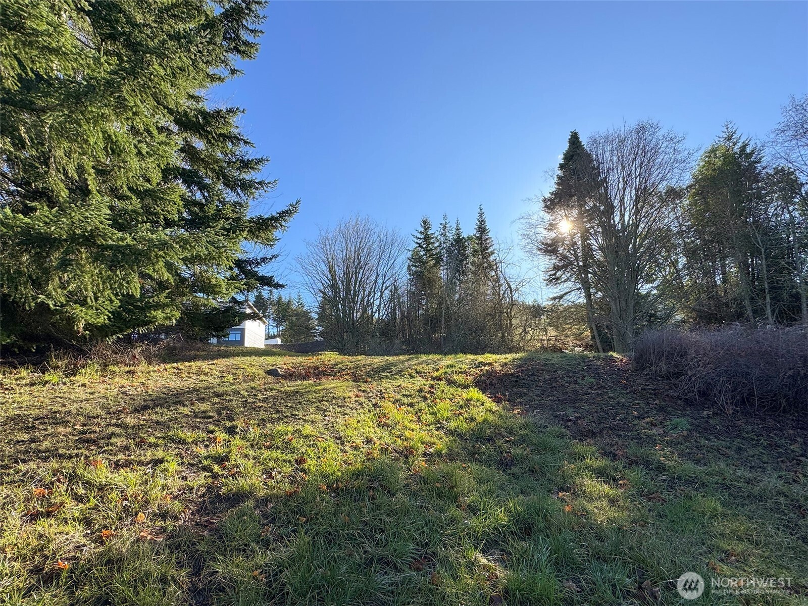 9999 Owls Nest Road Property Photo 15