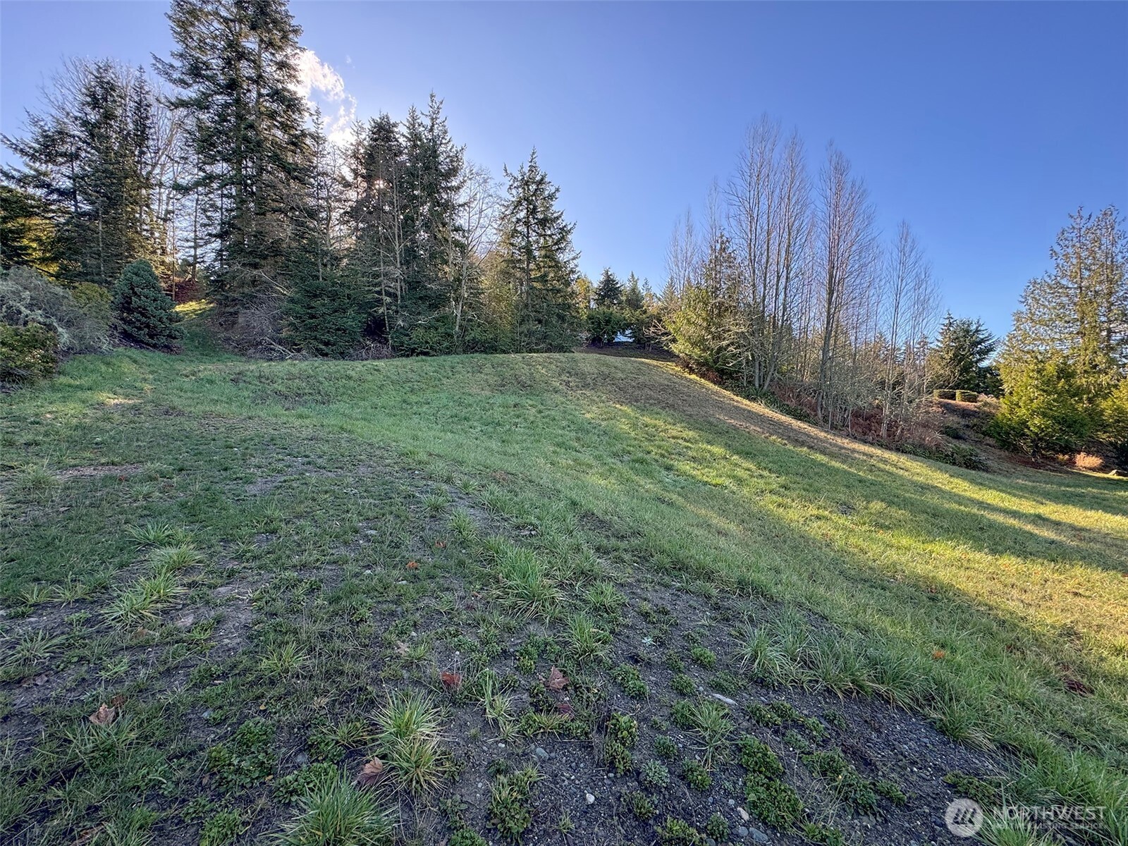 9999 Owls Nest Road Property Photo 19